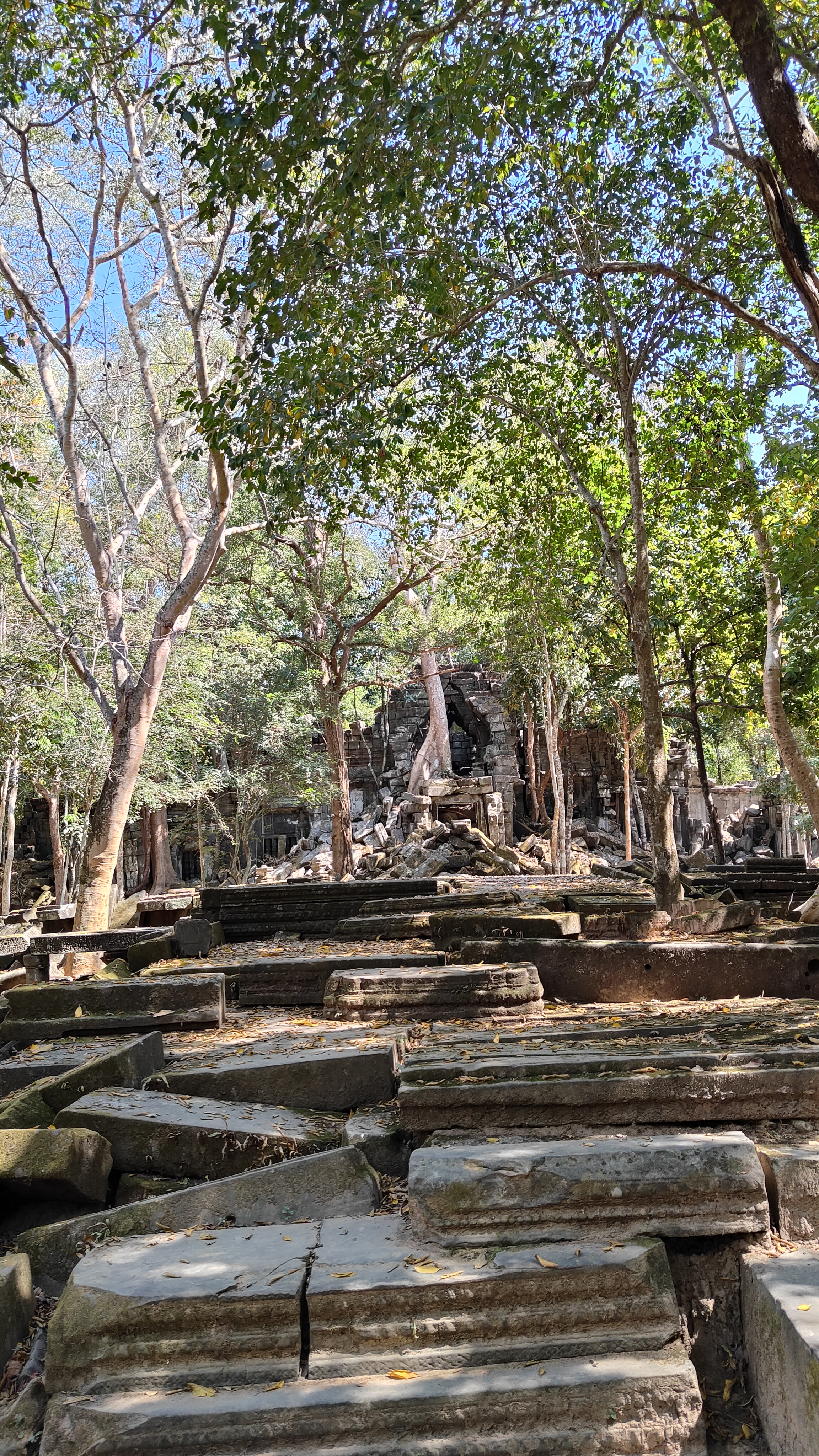 Beng Mealea