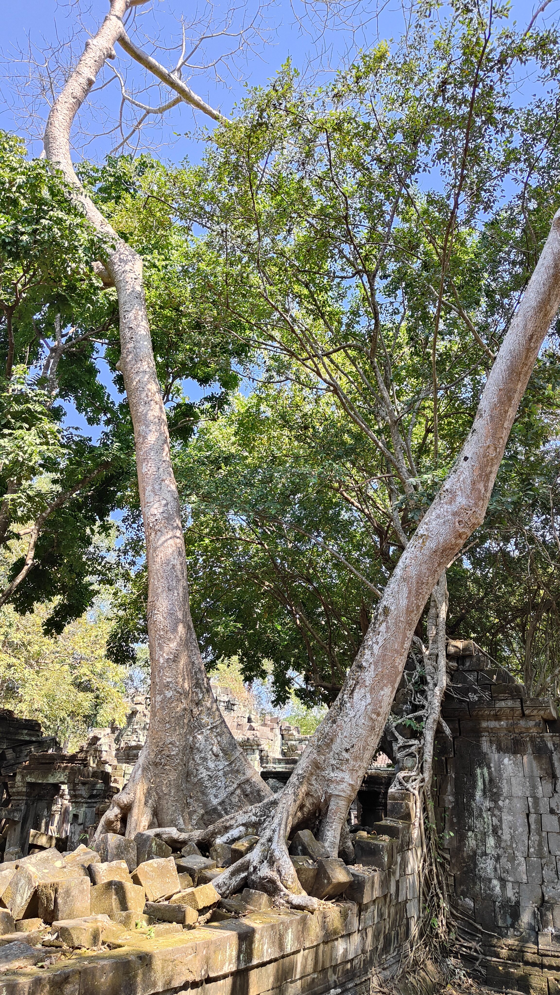 Beng Mealea