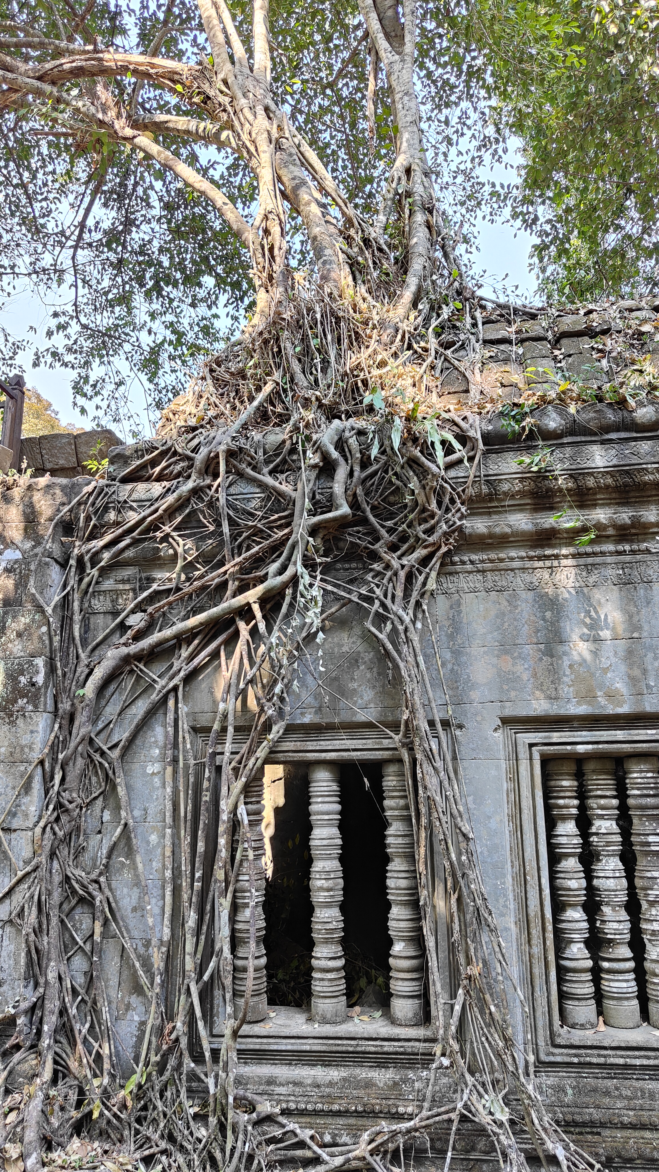 Beng Mealea