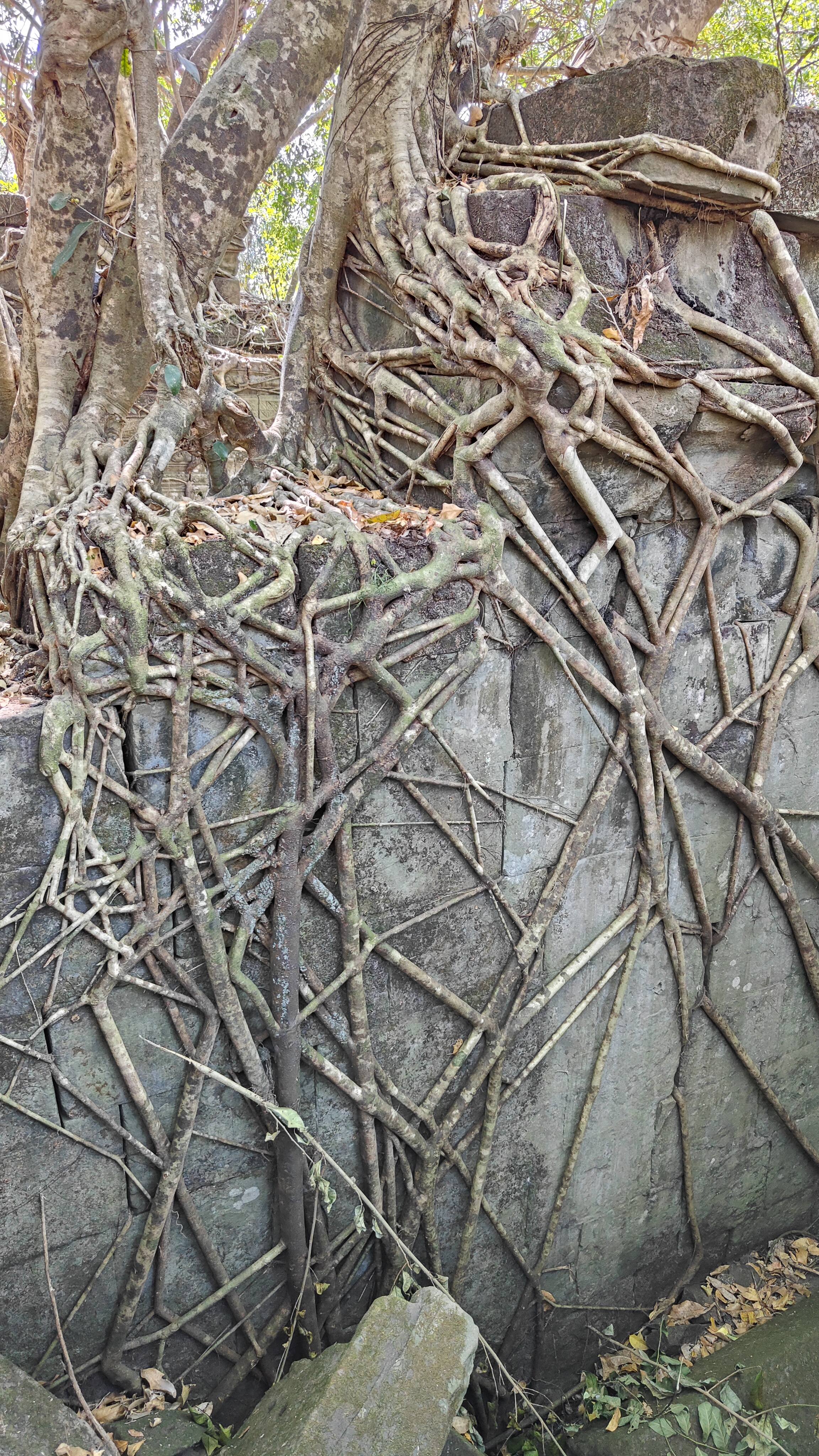 Beng Mealea
