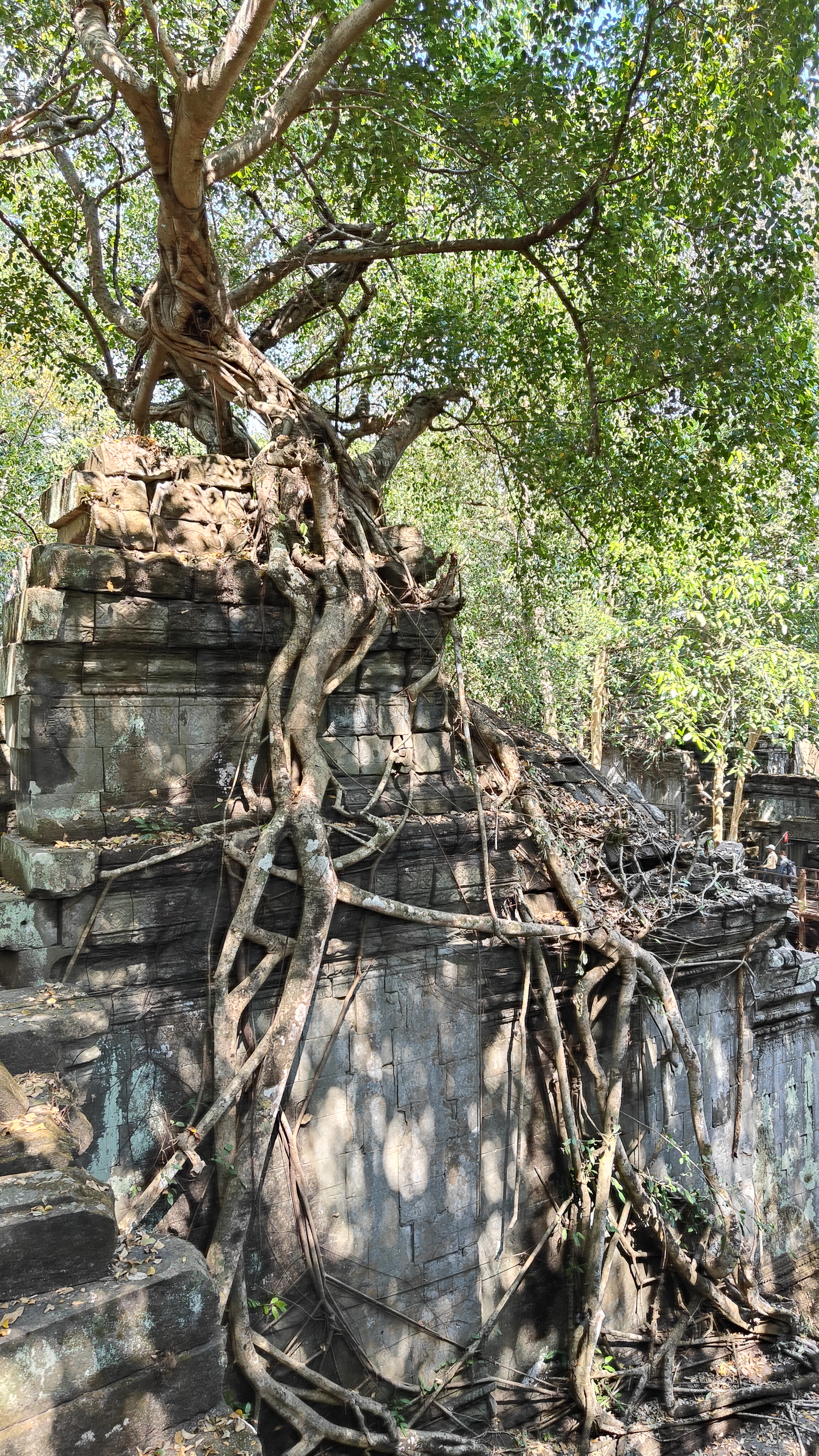 Beng Mealea