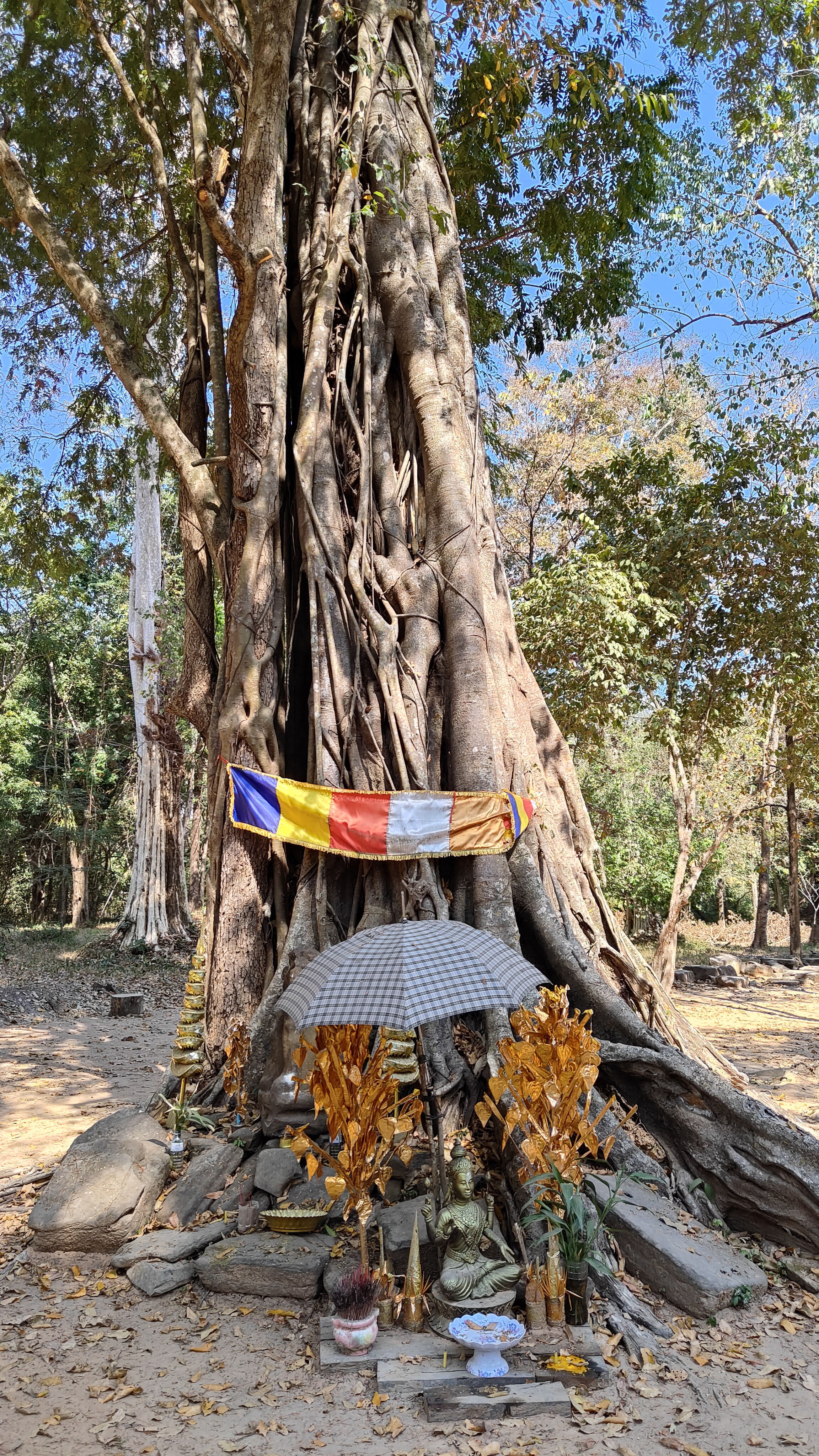Beng Mealea