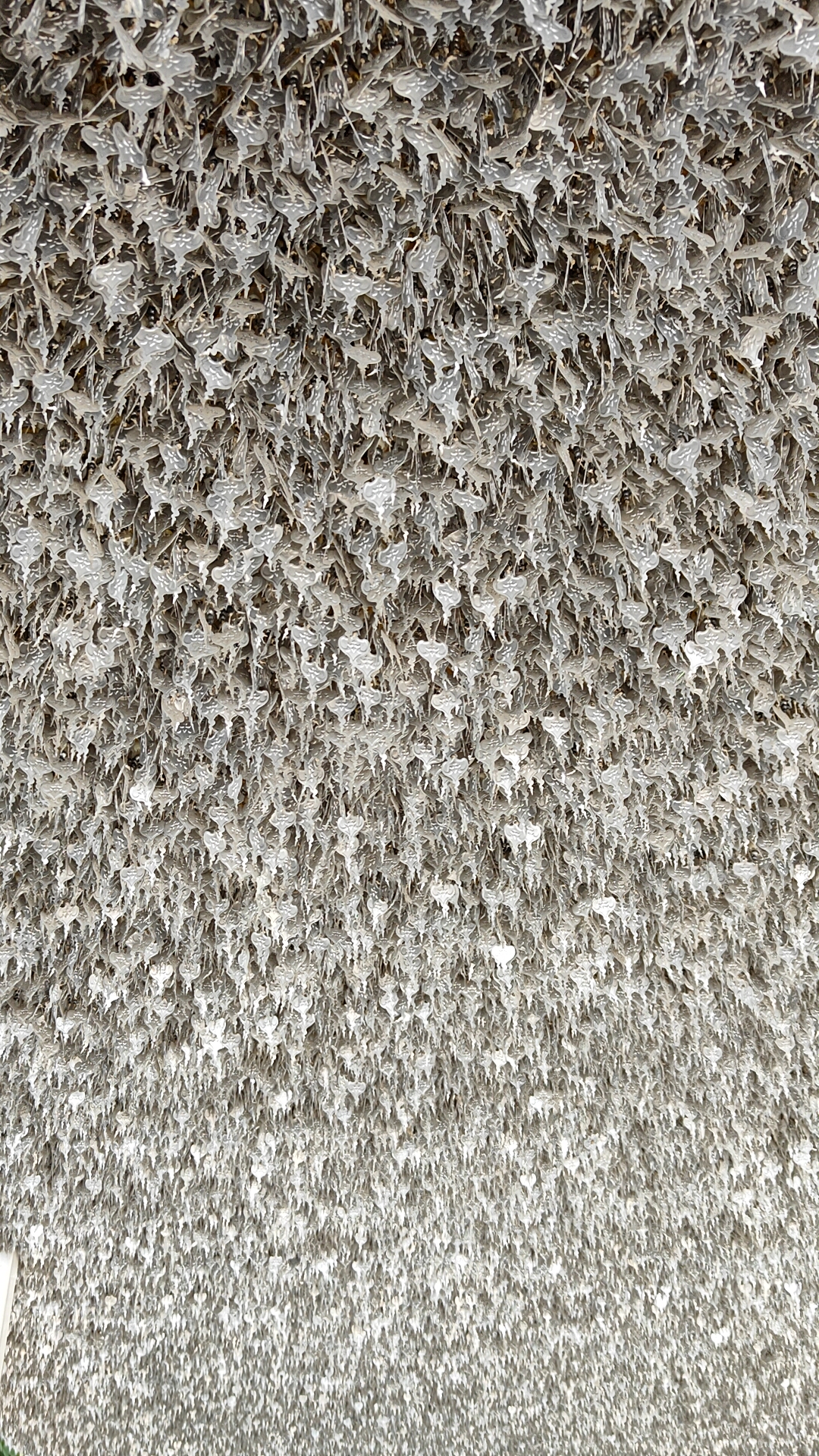 Temple blanc - Chiang Rai