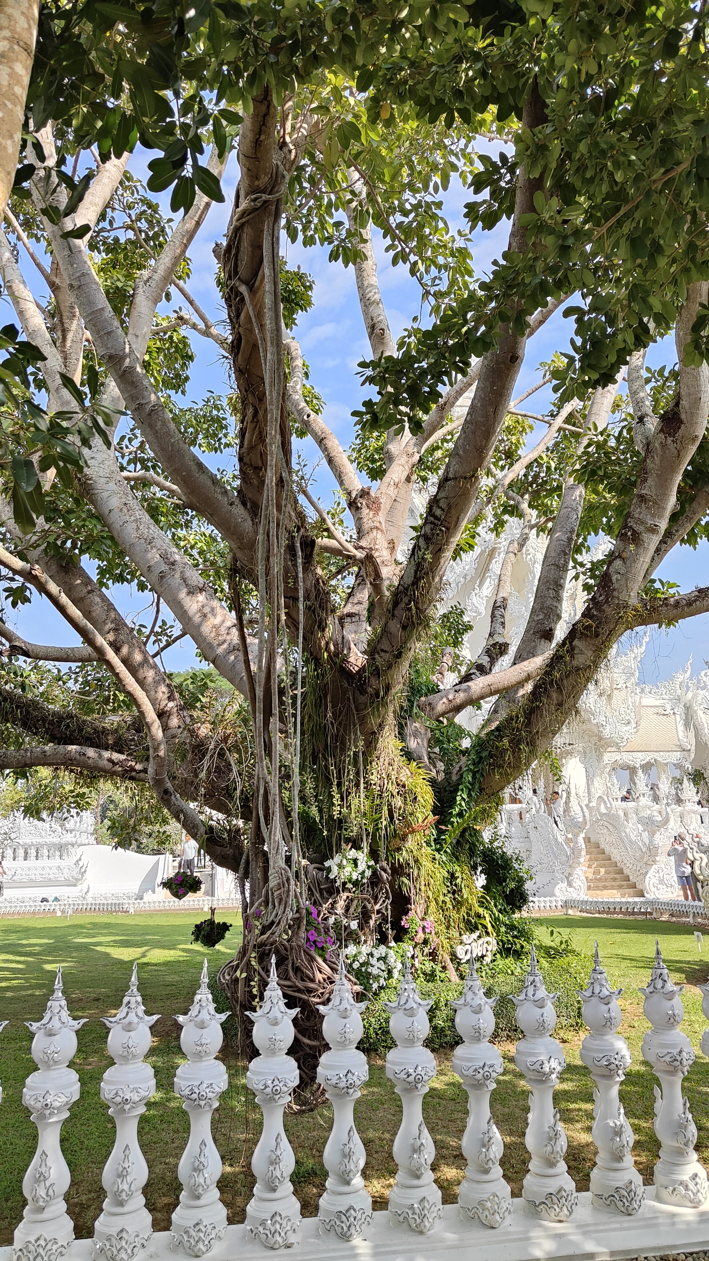 Temple blanc - Chiang Rai