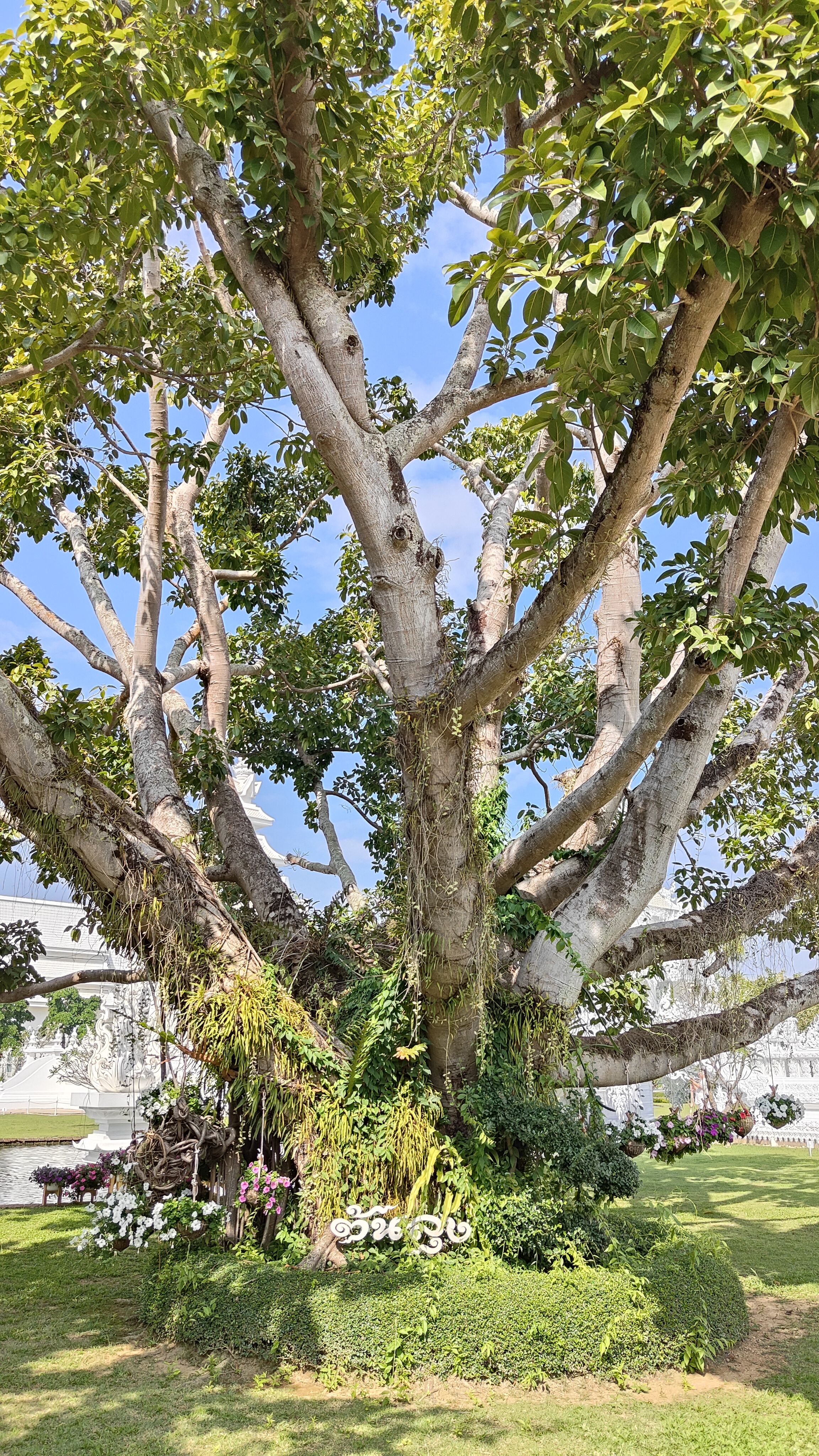 Temple blanc - Chiang Rai