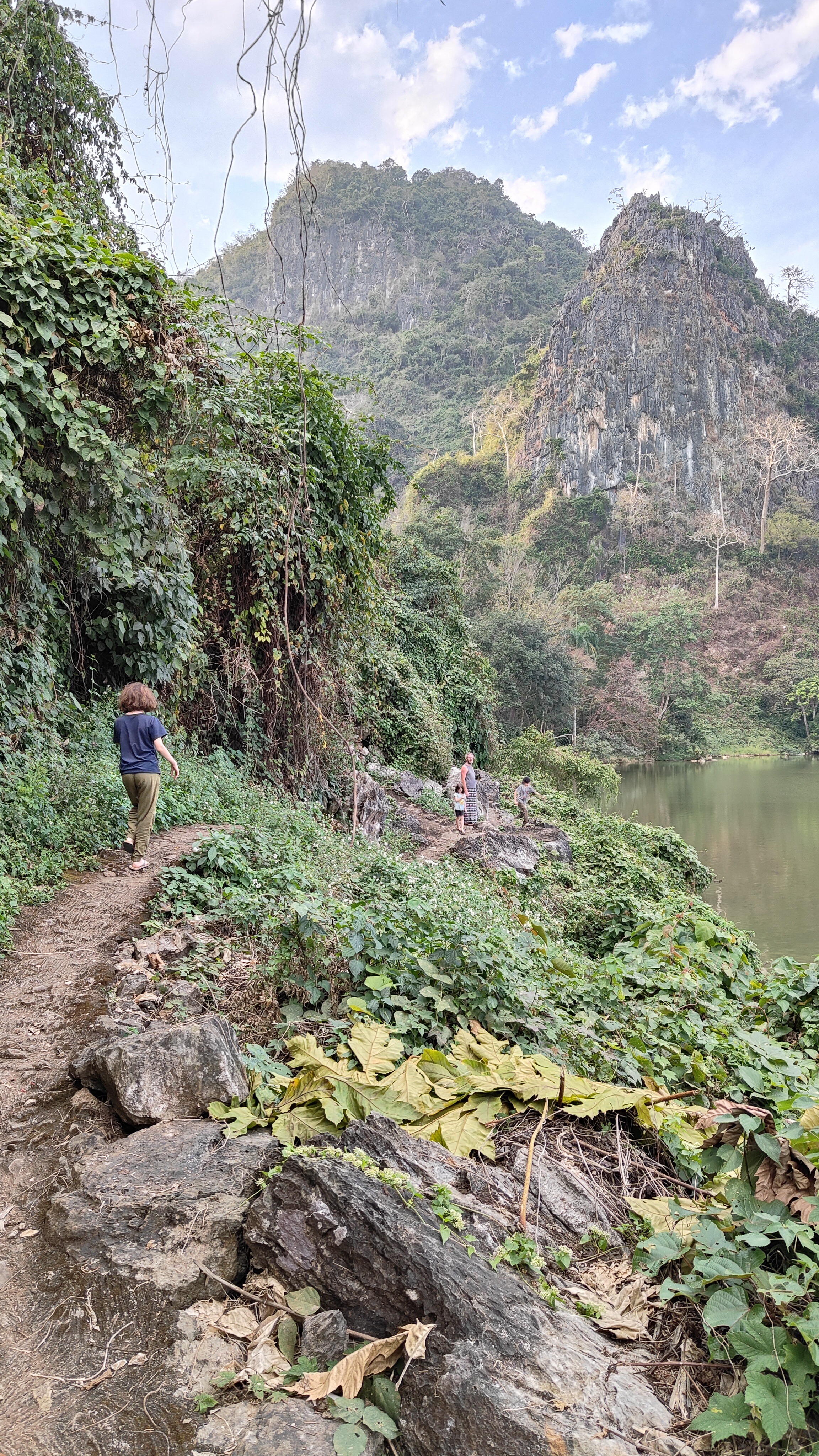 nature