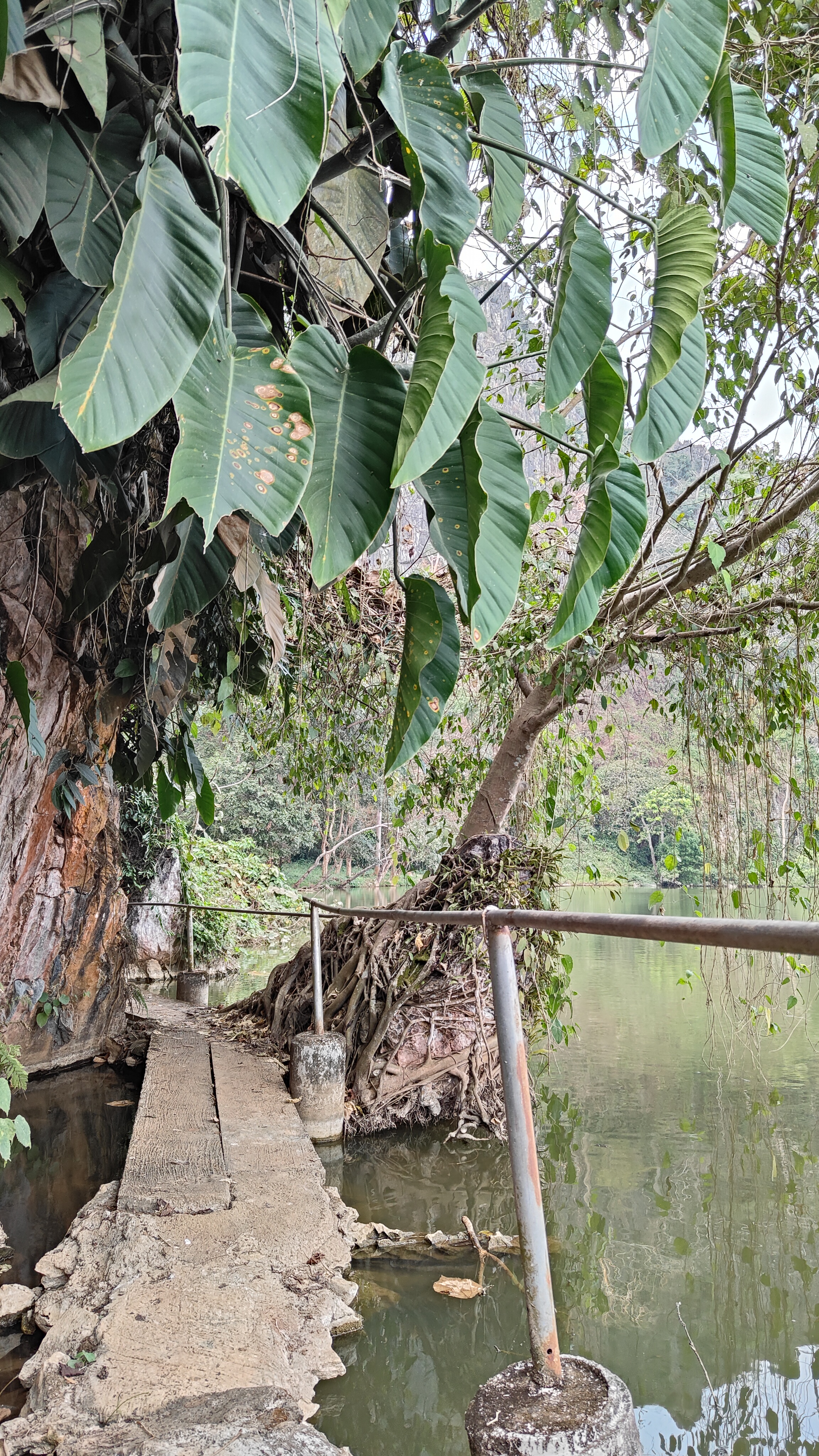 nature