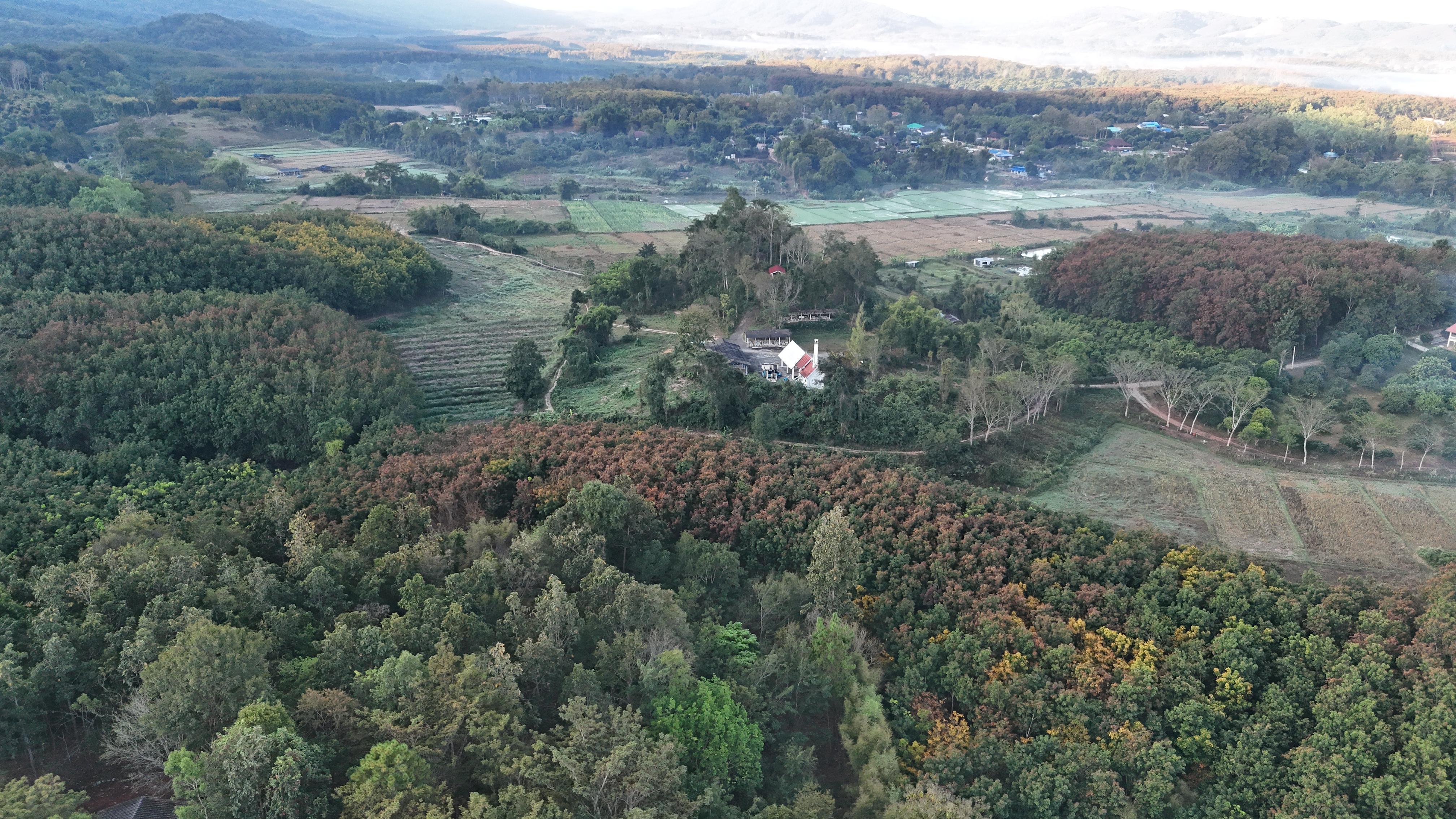 Paysage