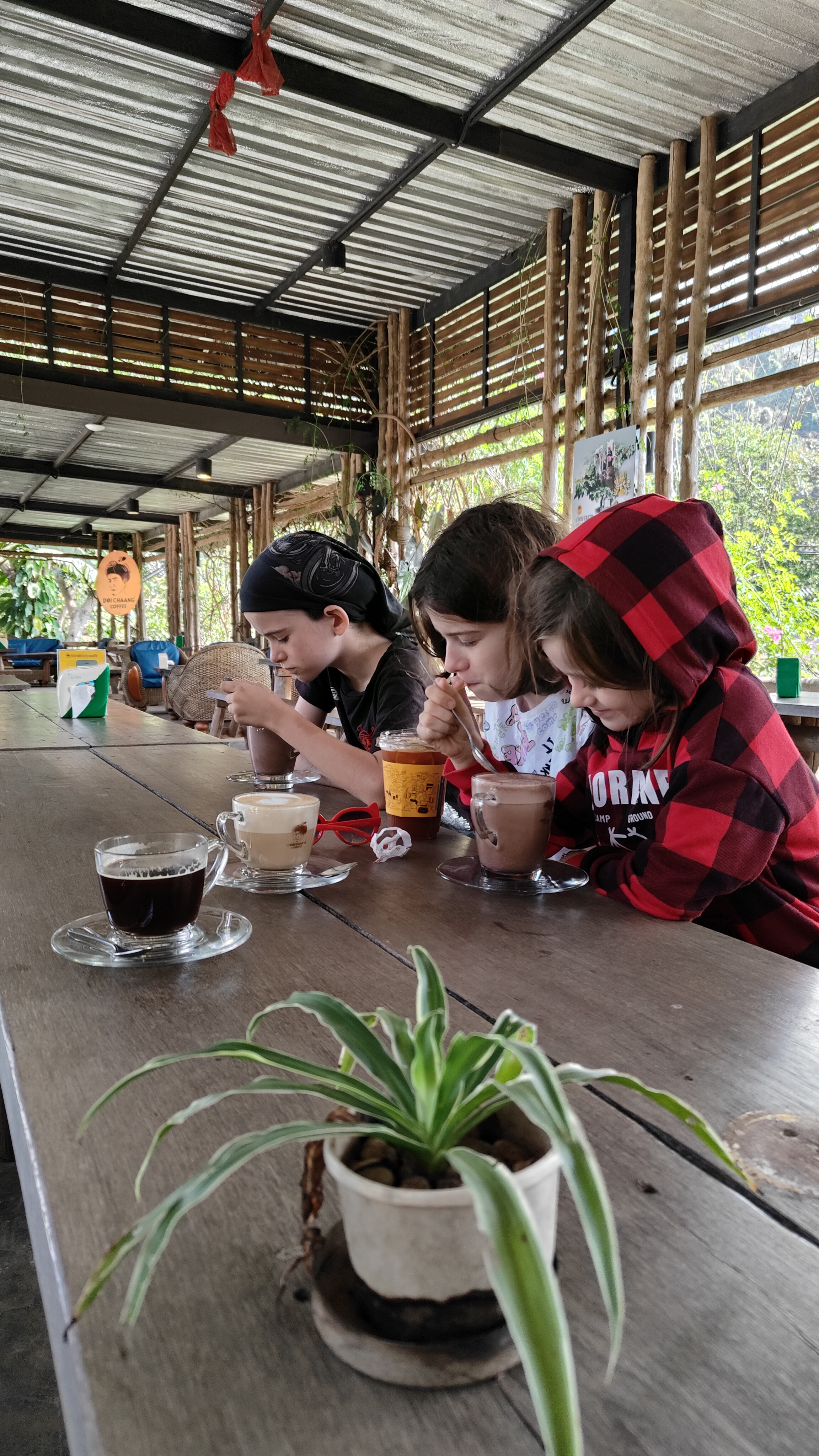Doi chaang coffee