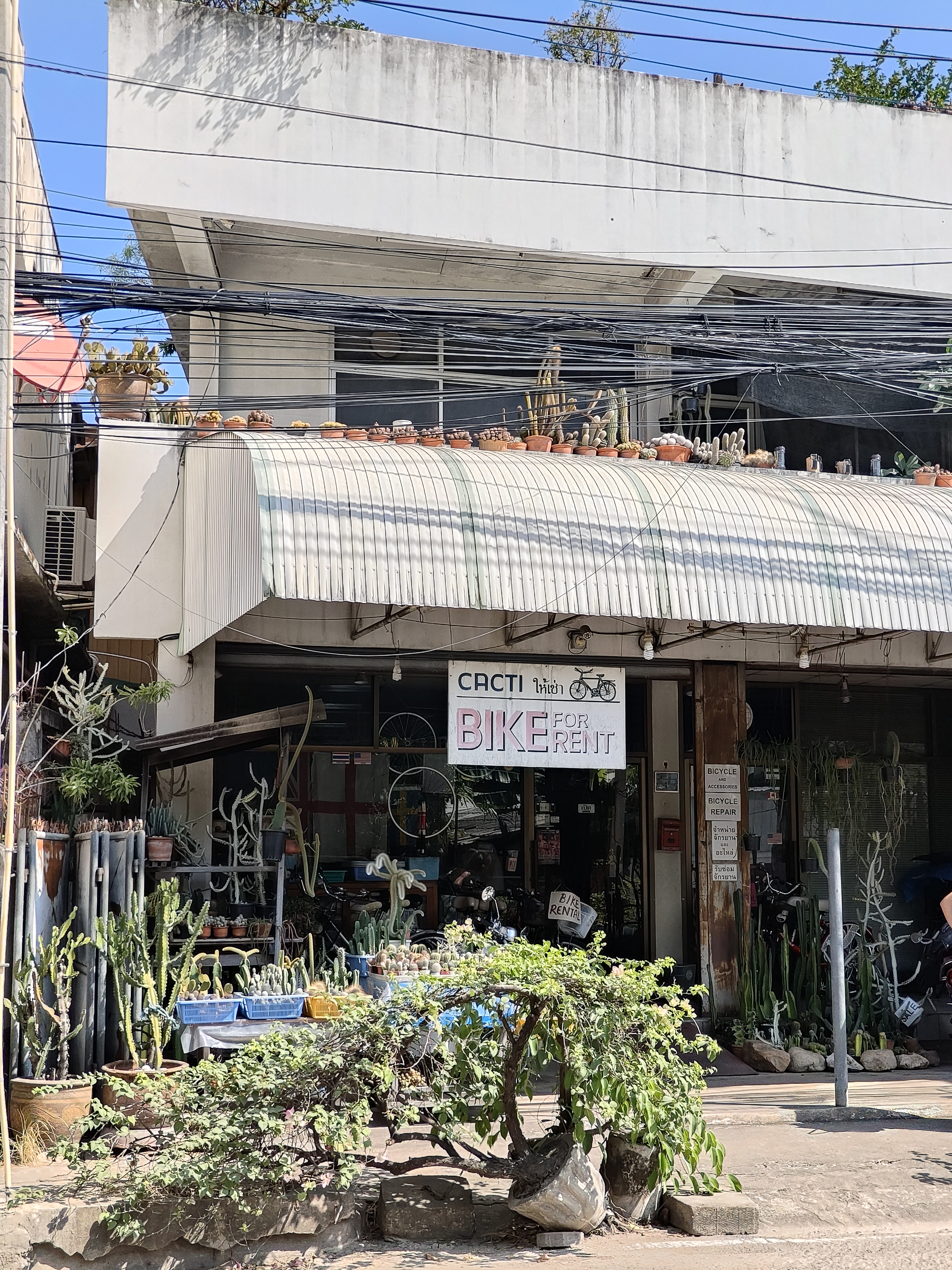 Chiang Mai