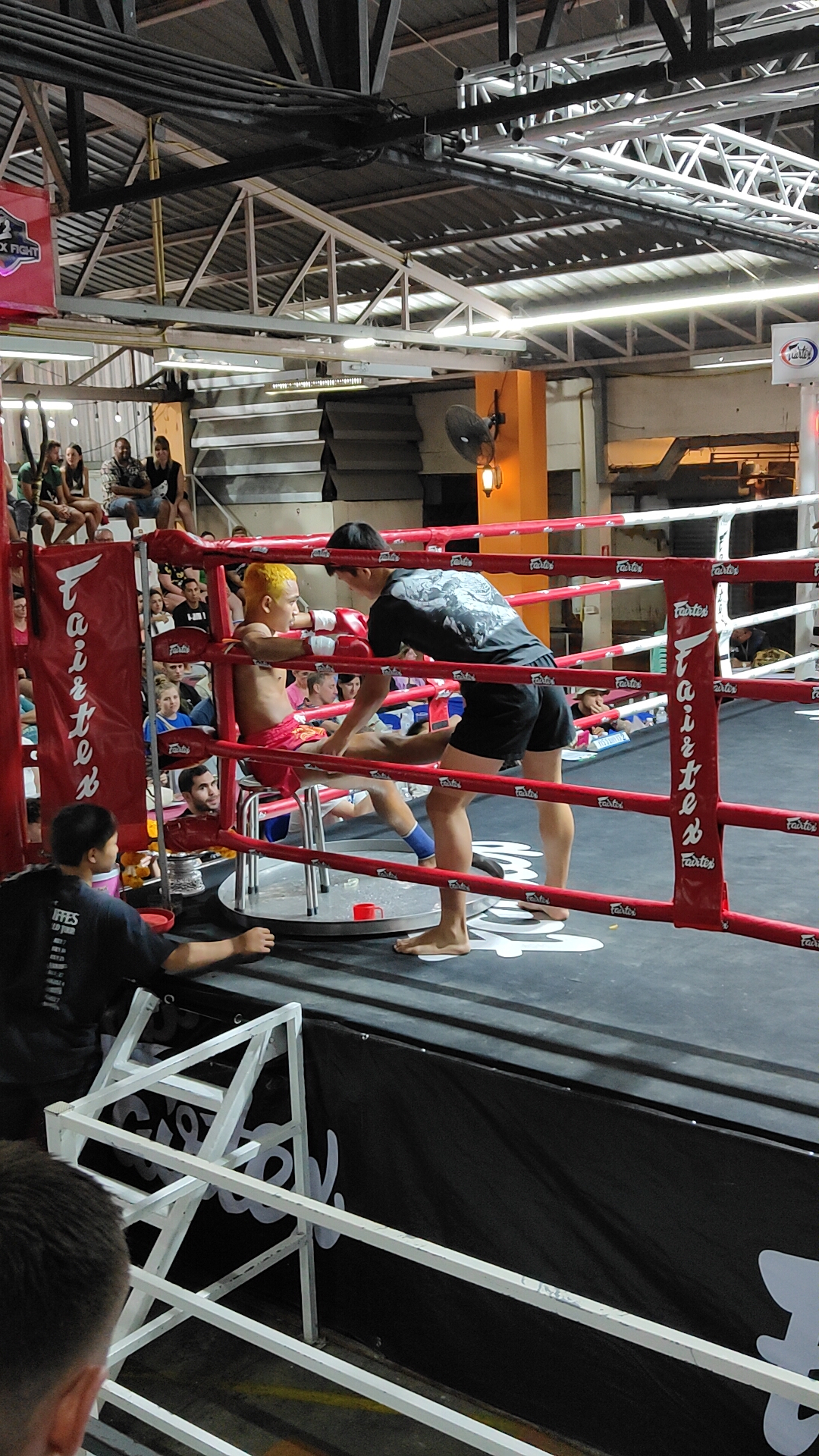 muay thai