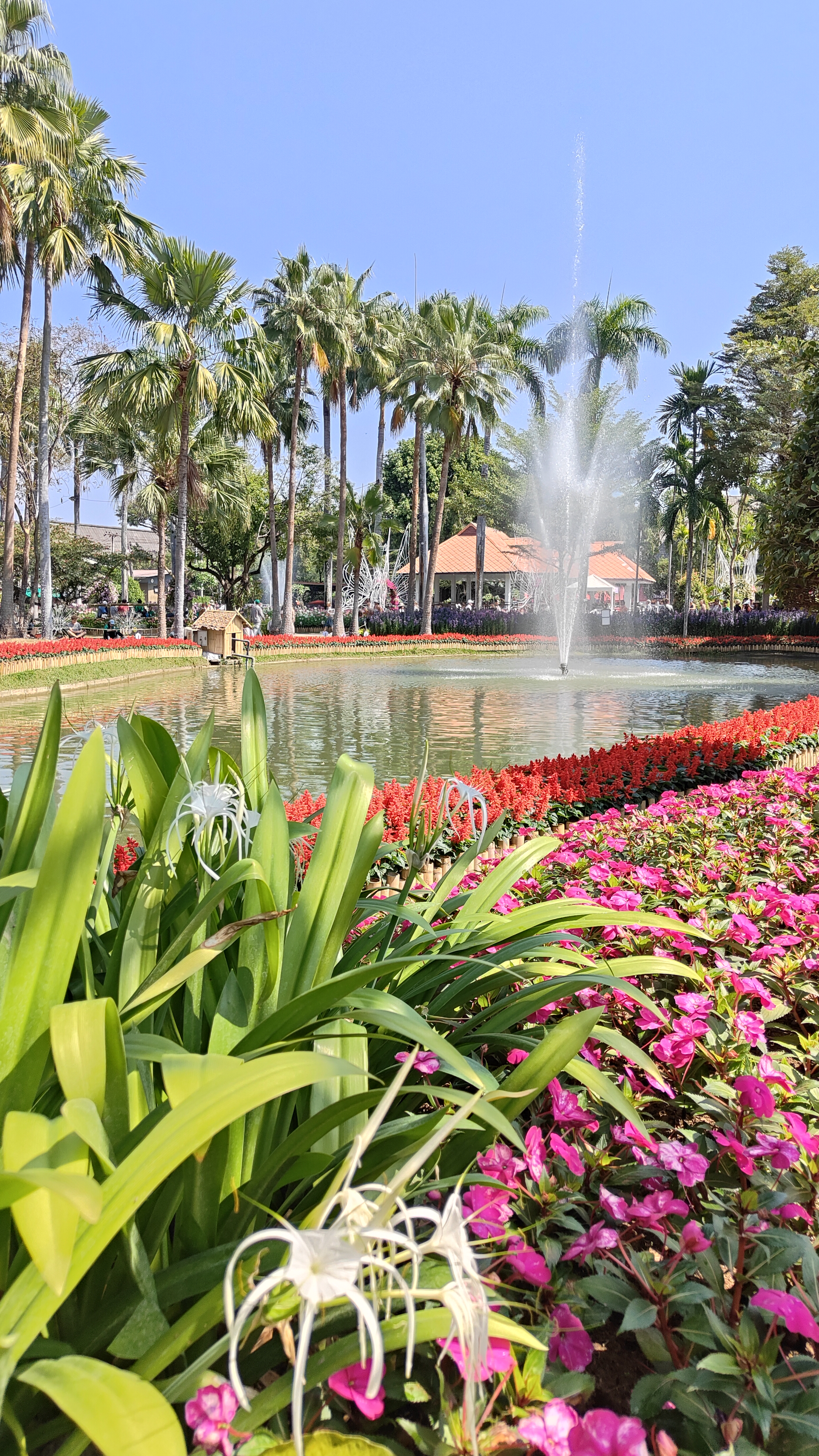 Nong Buak Haad Public Park