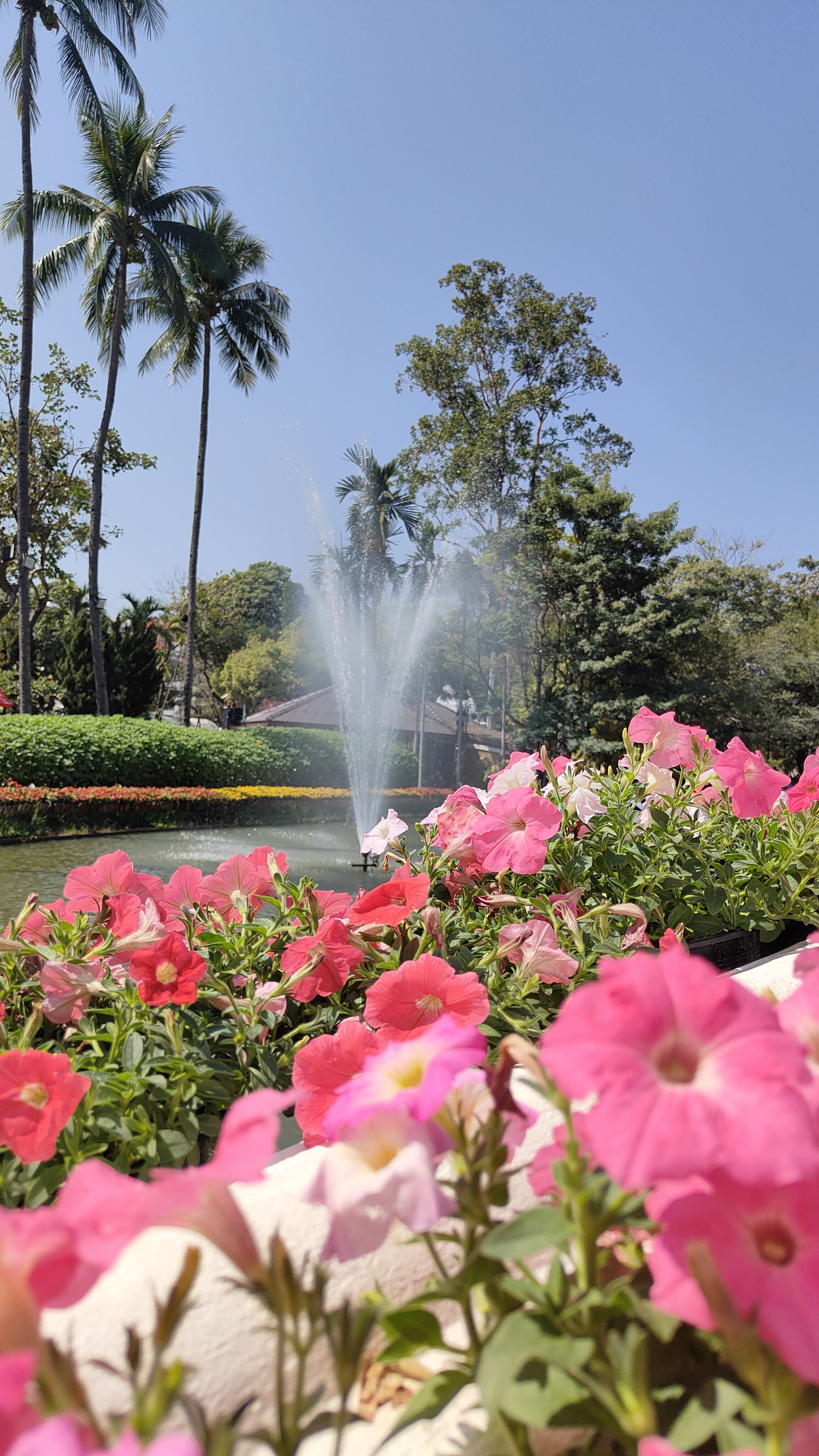 Nong Buak Haad Public Park