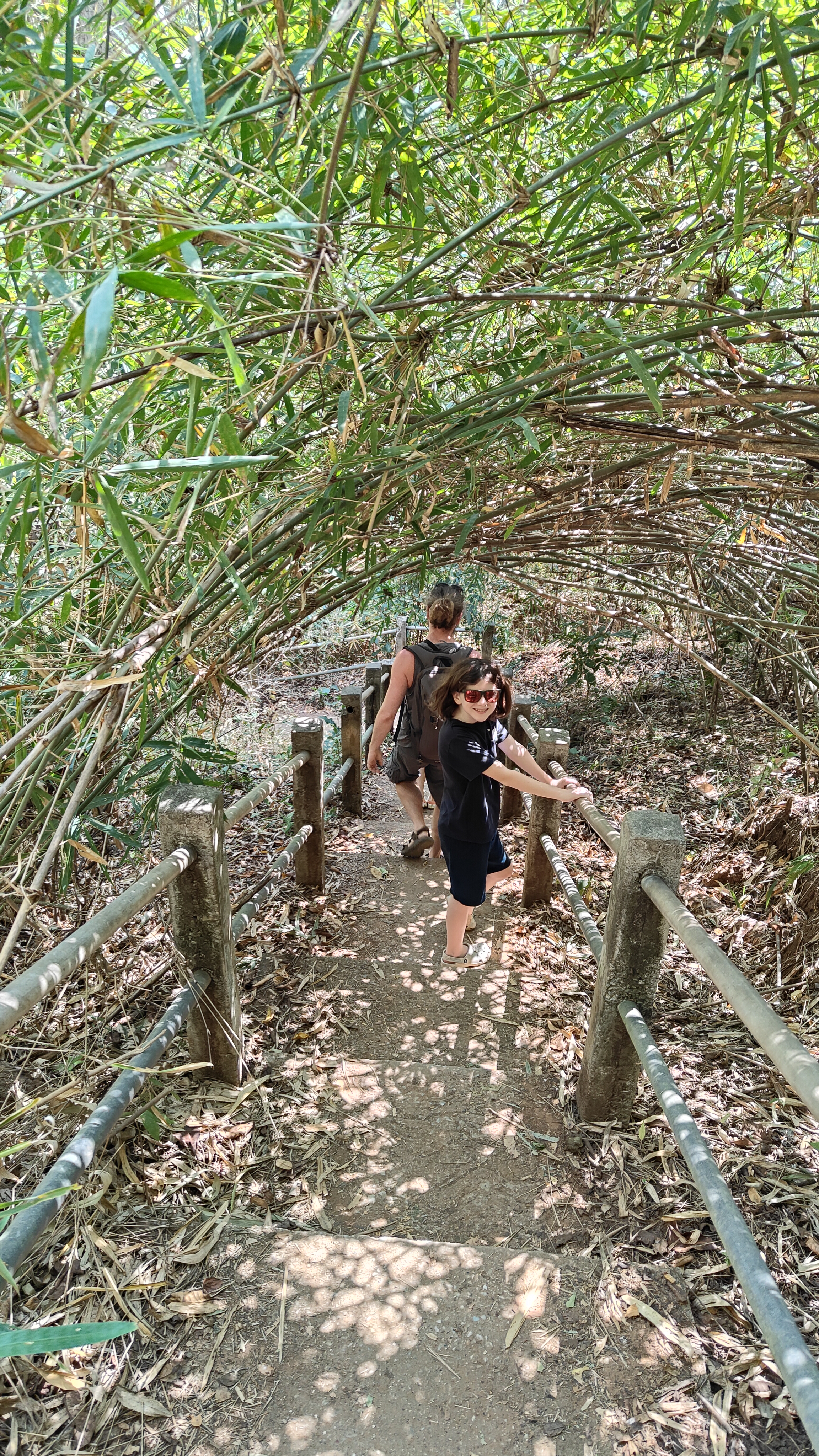 Mae Wang Waterfall