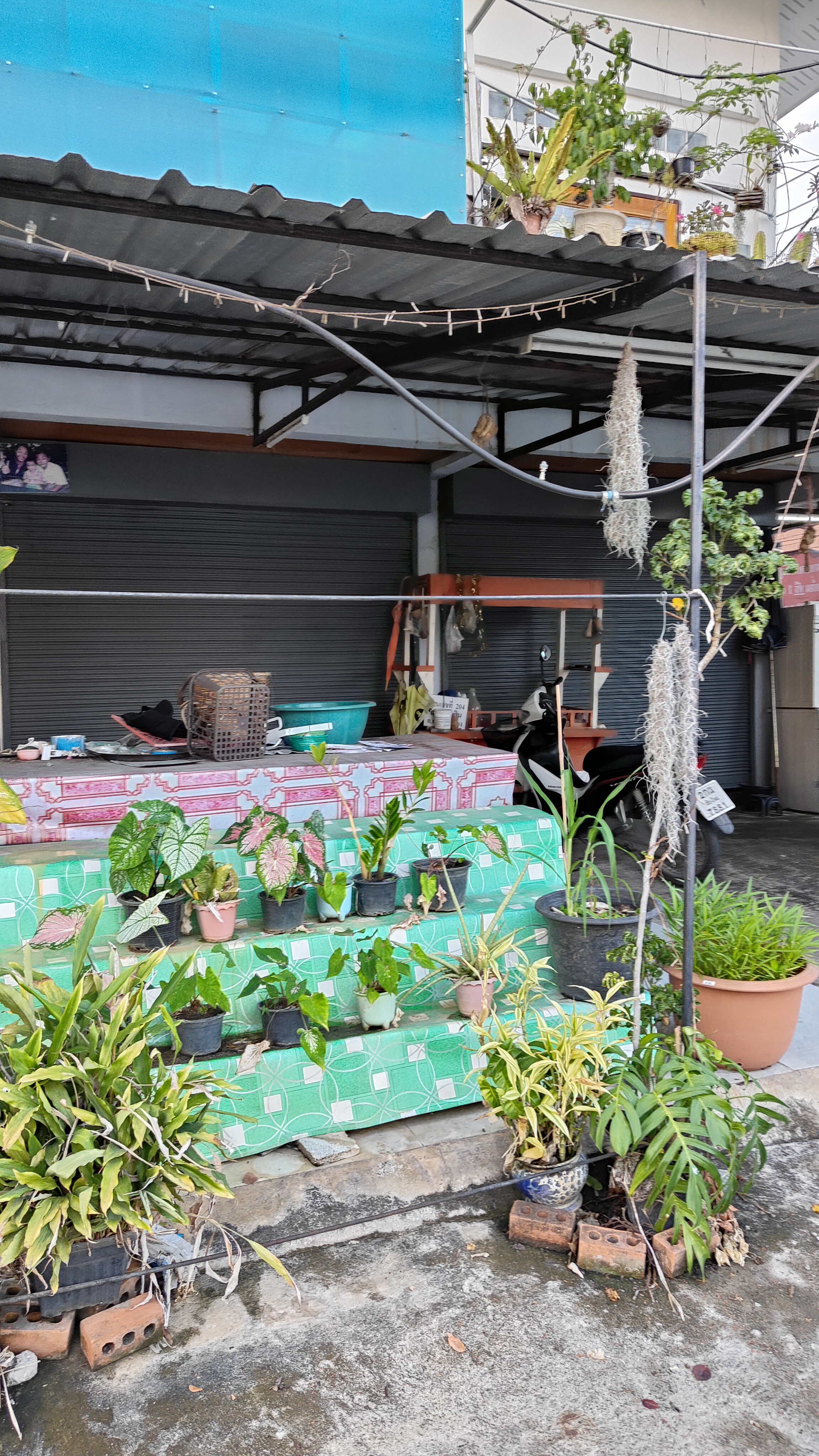 Chiang Mai