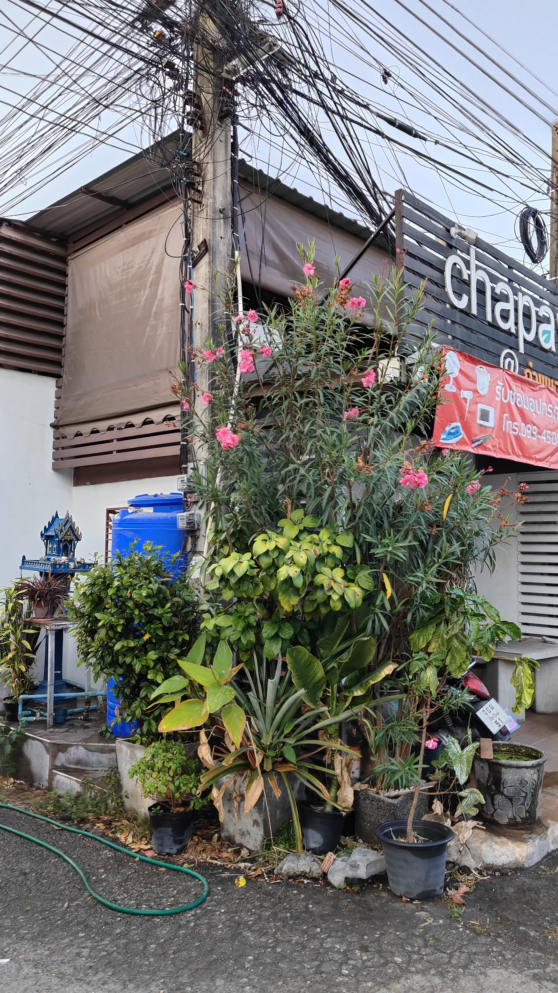 Chiang Mai