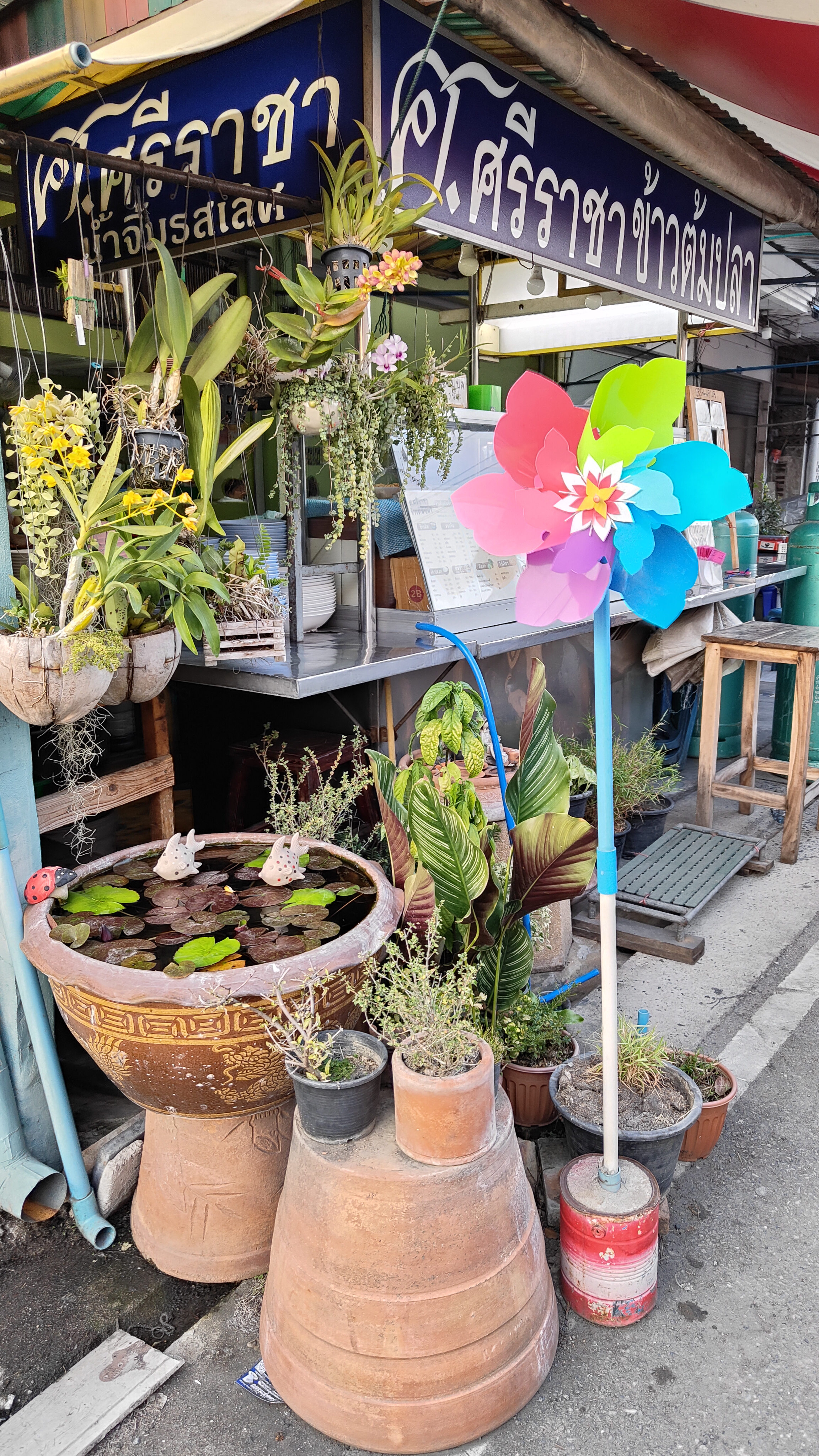 Chiang Mai