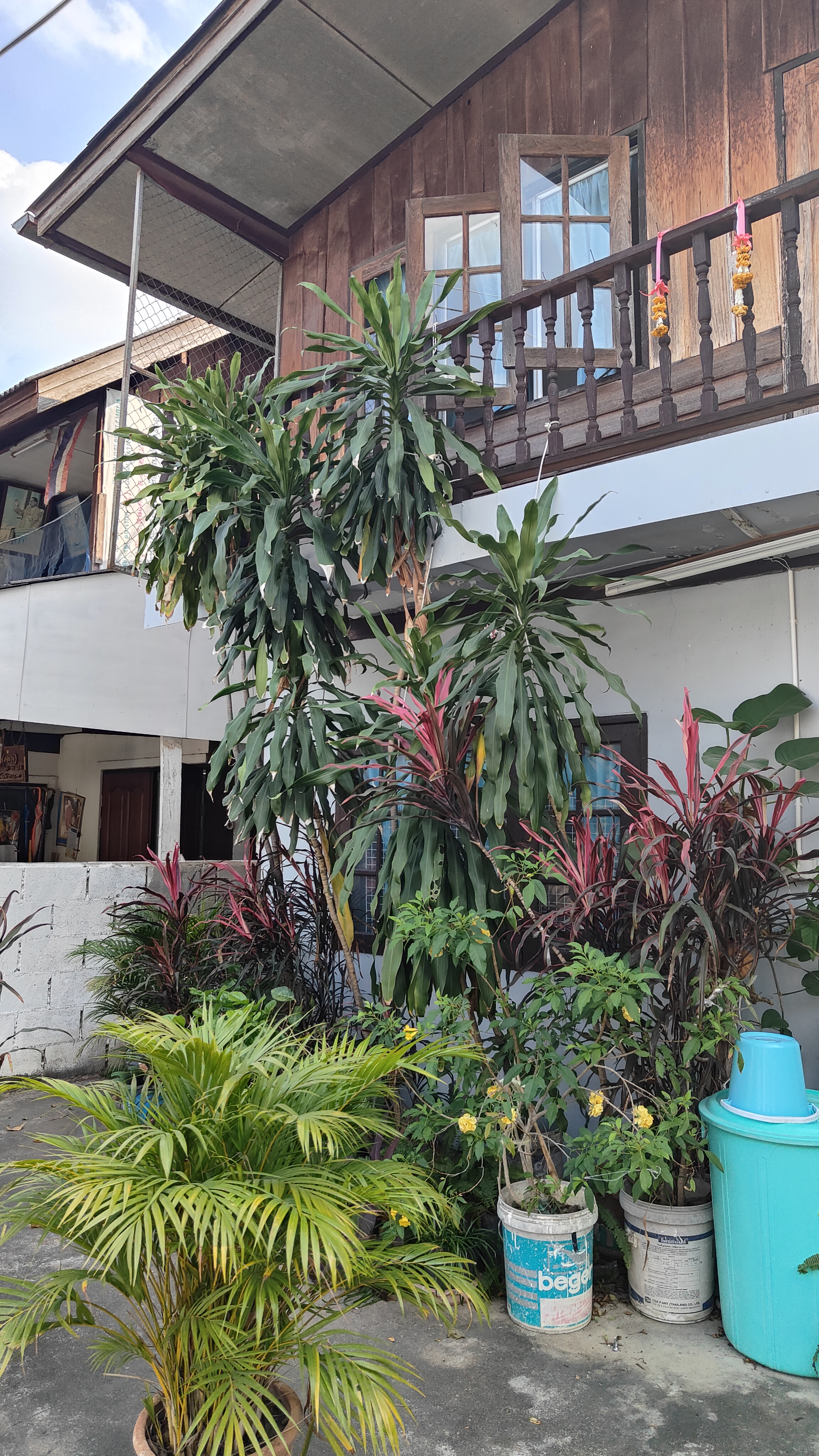 Chiang Mai