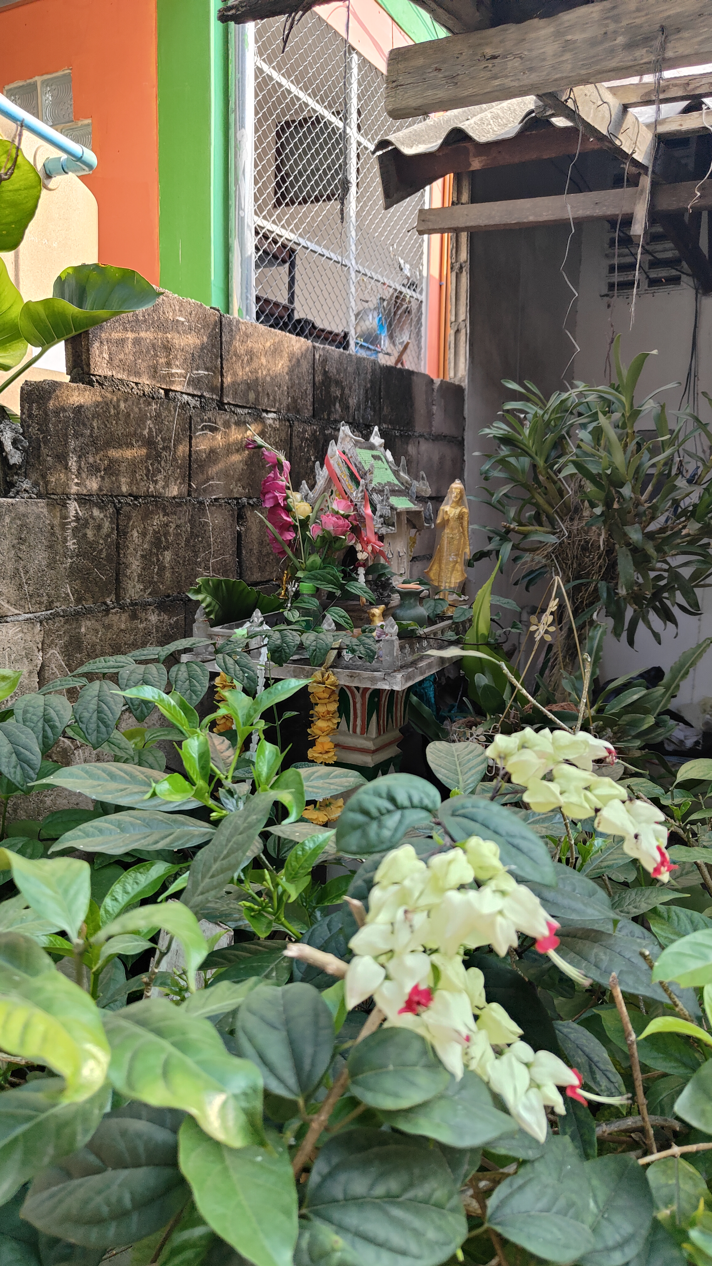 Chiang Mai