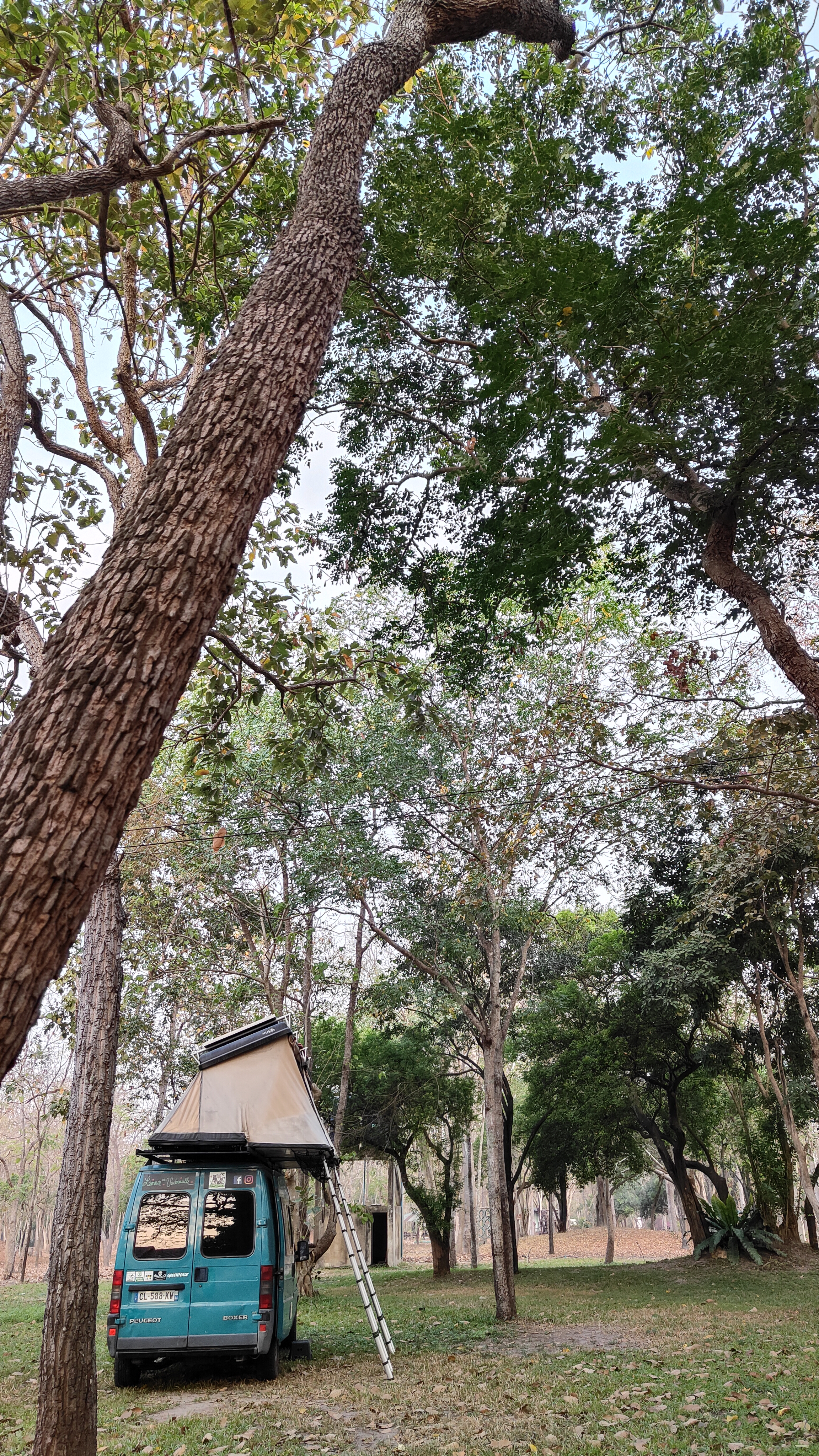 Forest Park
