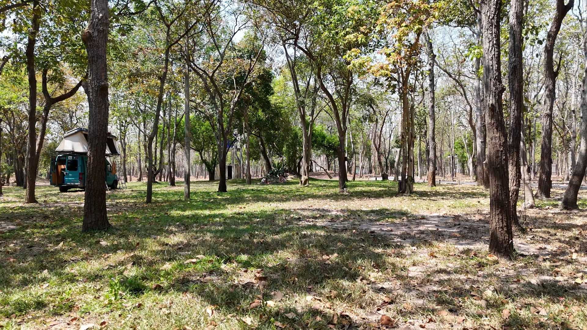 Forest Park