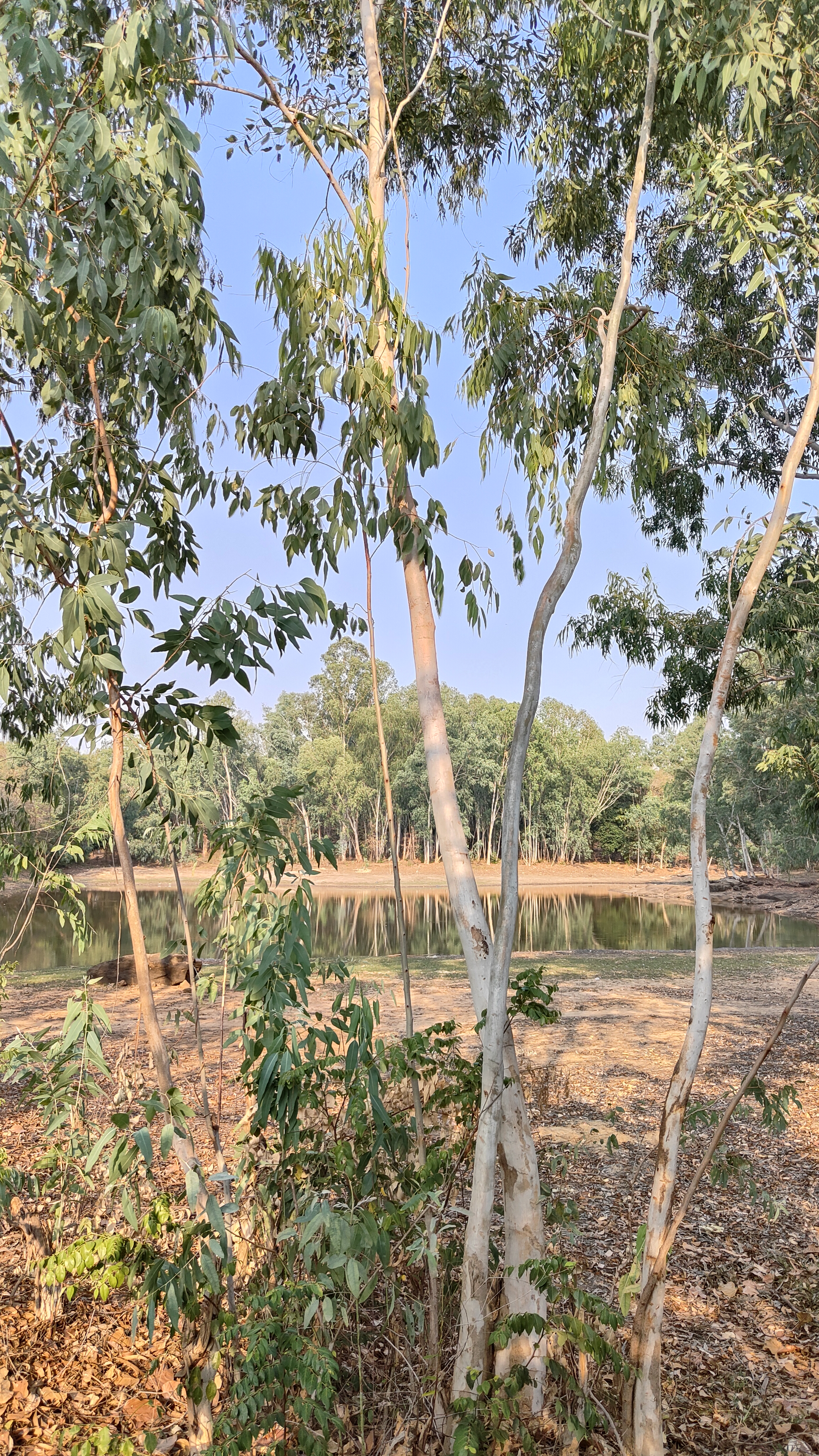 nature