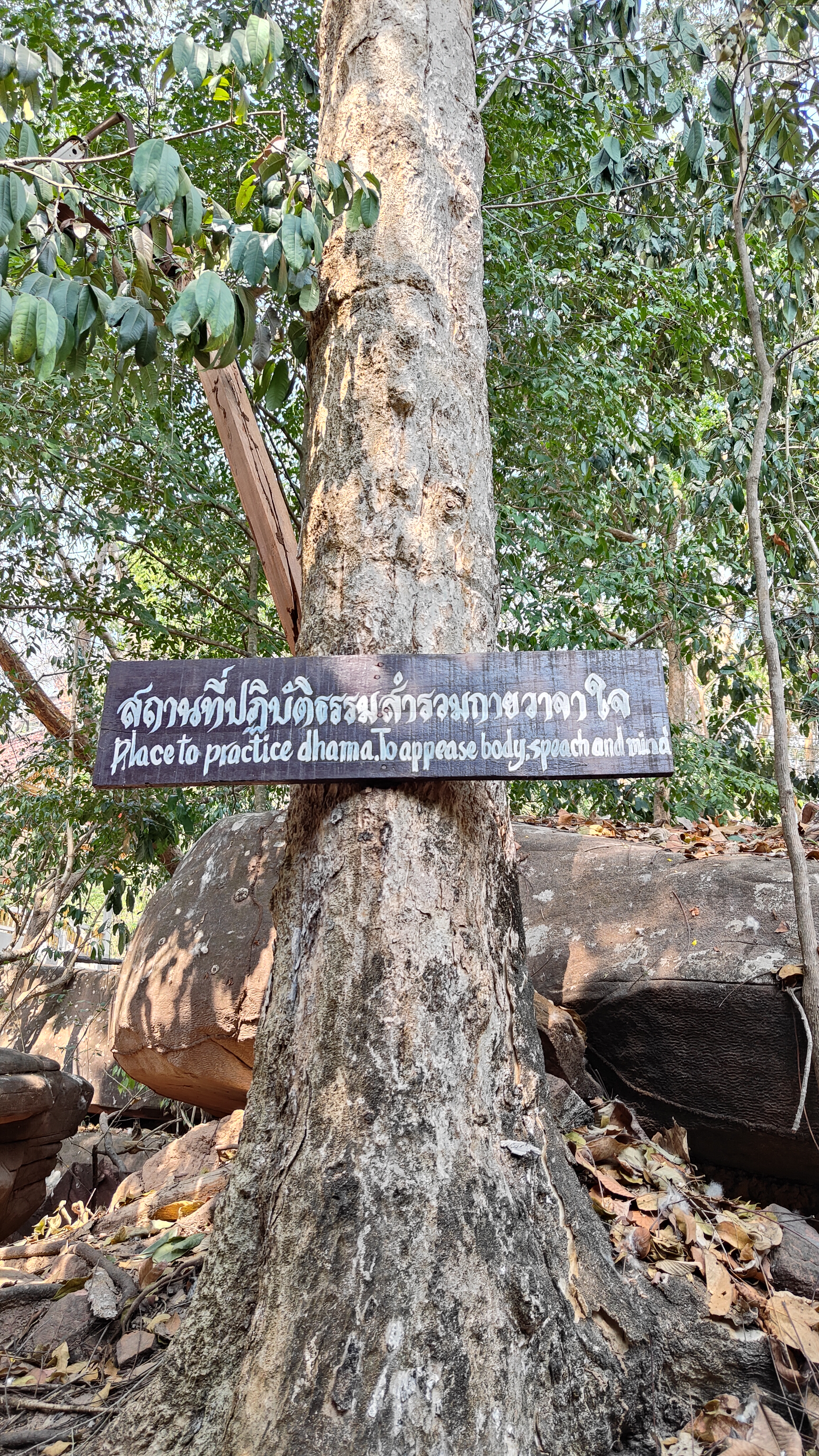 Wat Phu Tok
