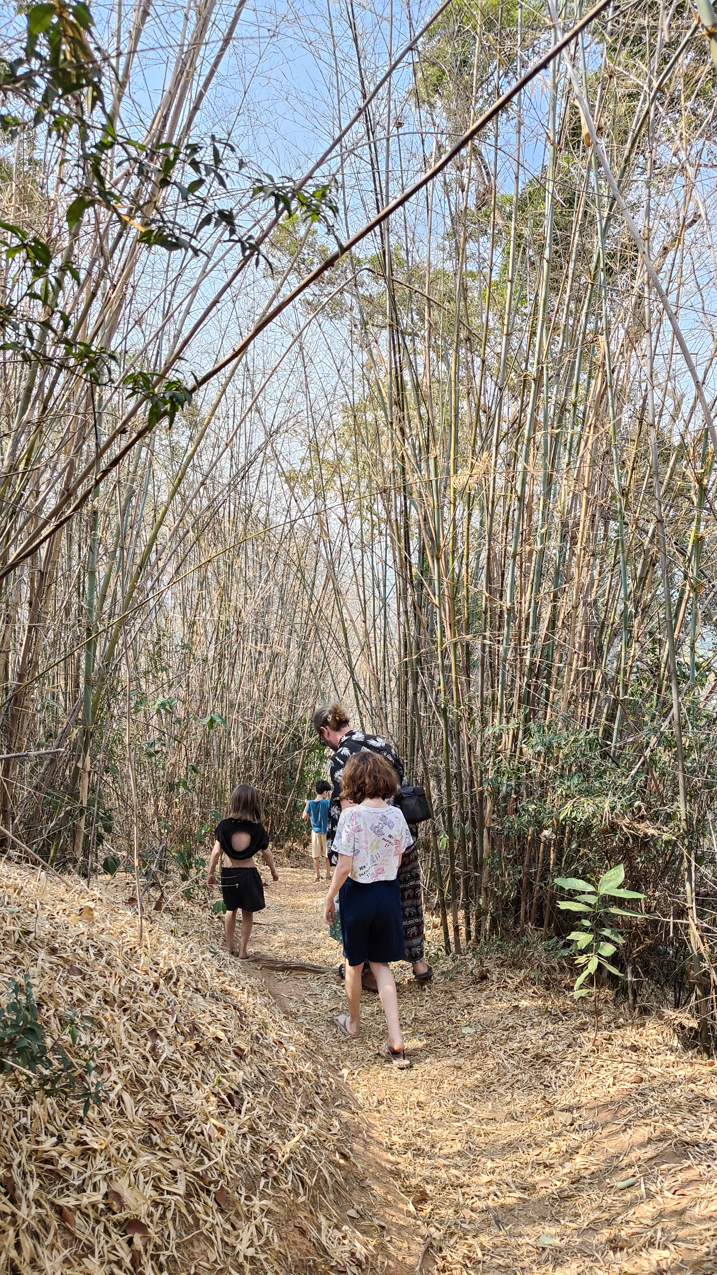 nature
