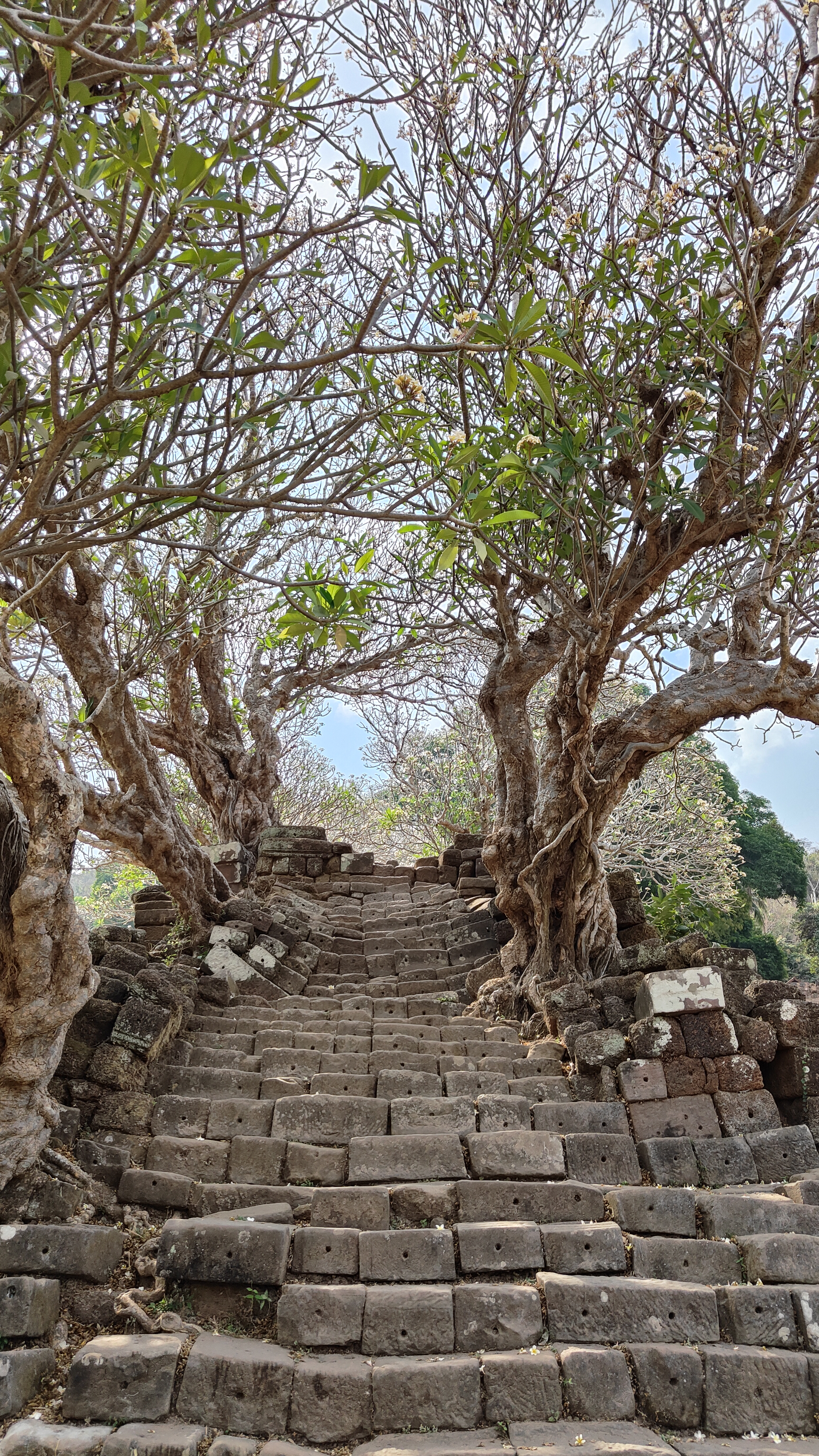 Vat Phou