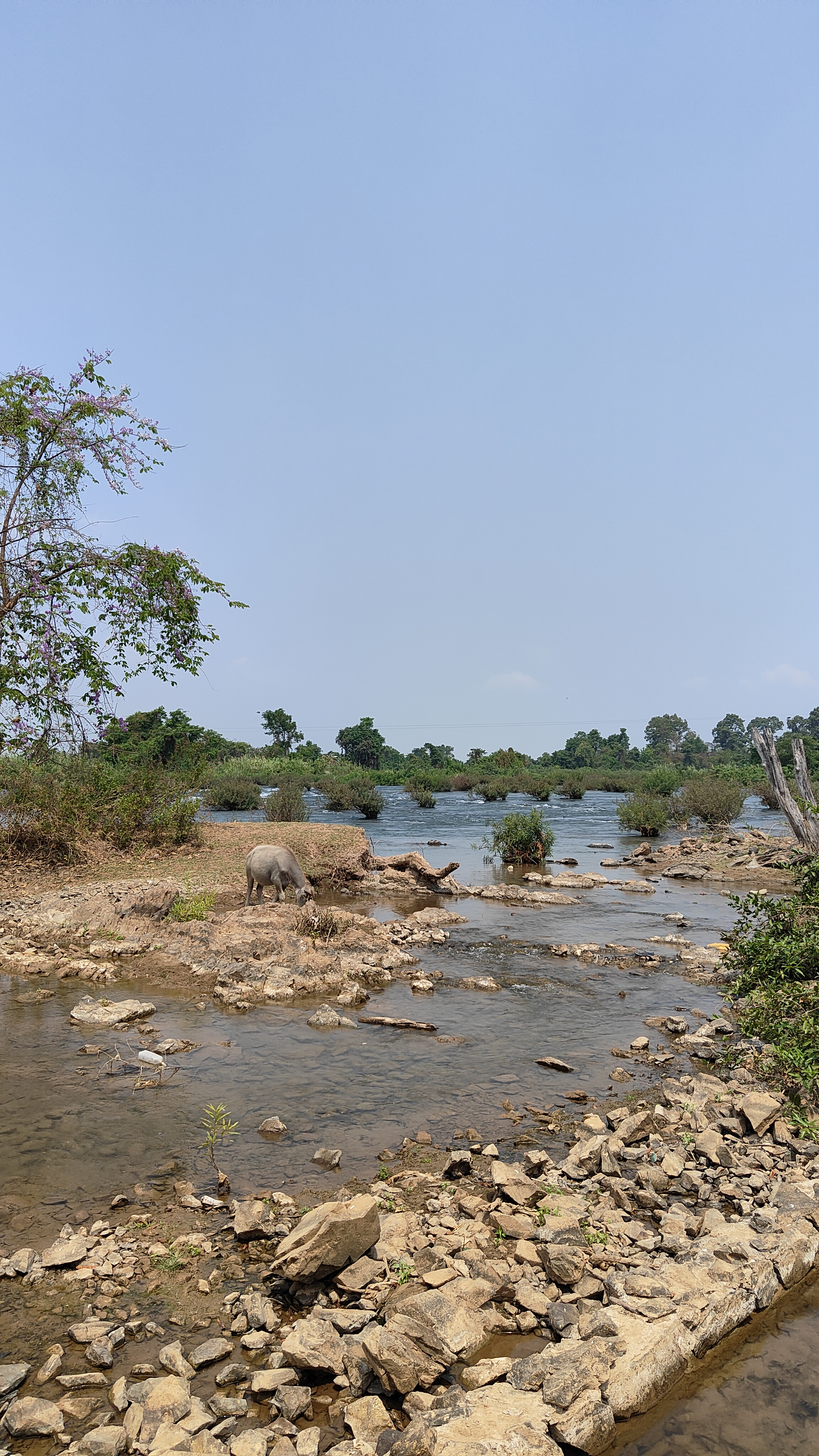 Li Phi Somphamit.