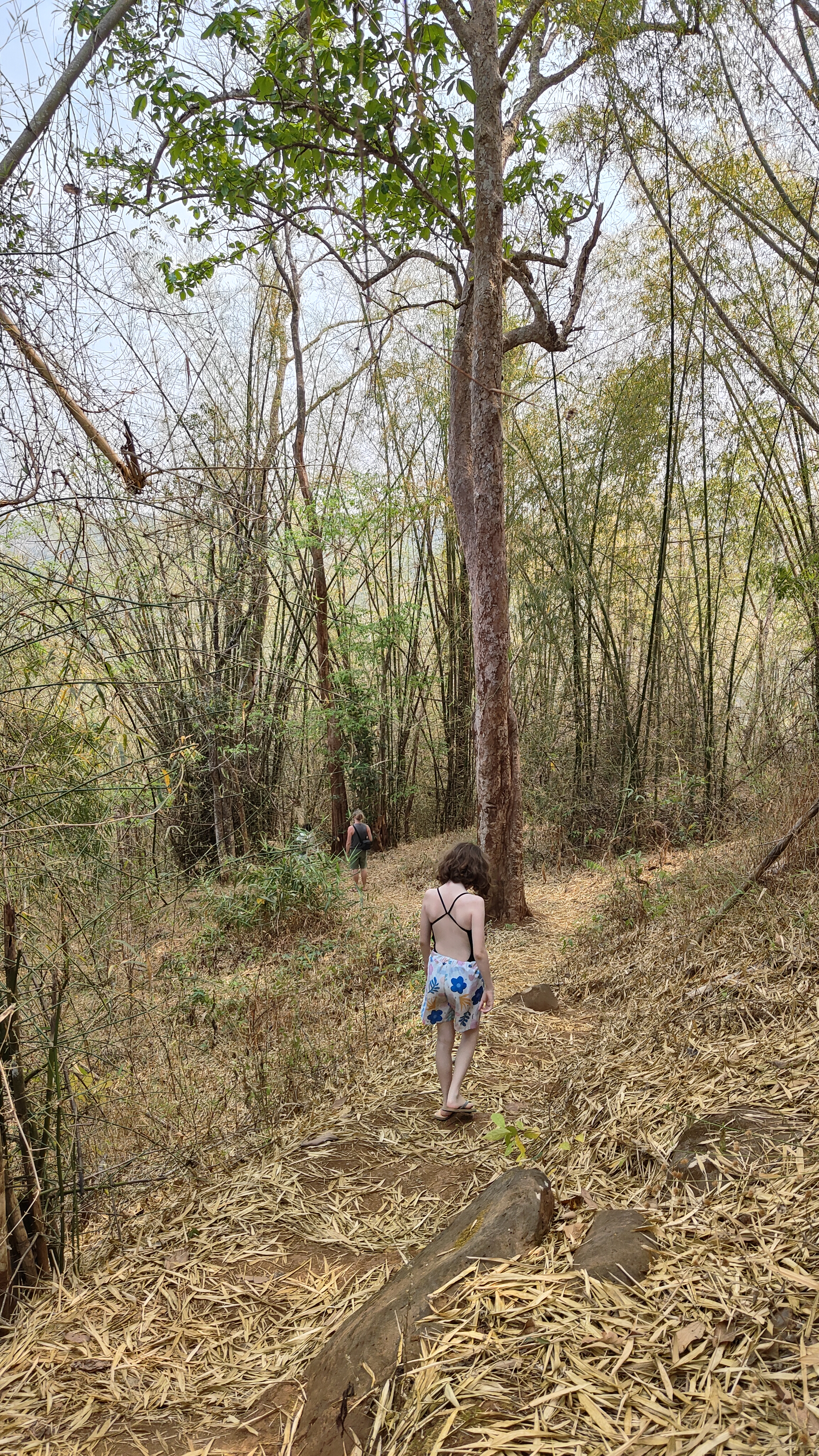 Plateau des Bolavens - Tad Jarou Halang
