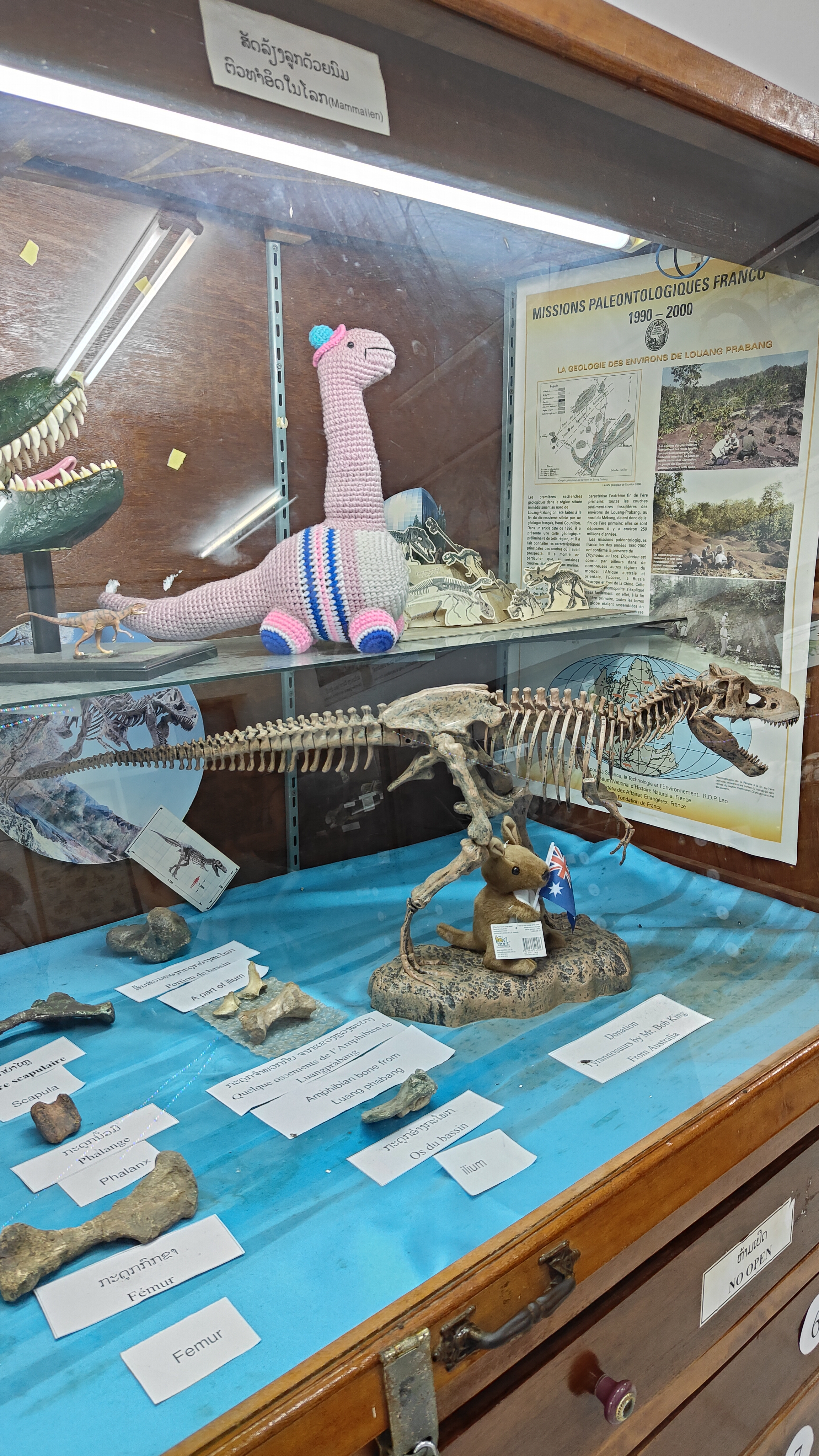 Savanaketh - musée dinosaure