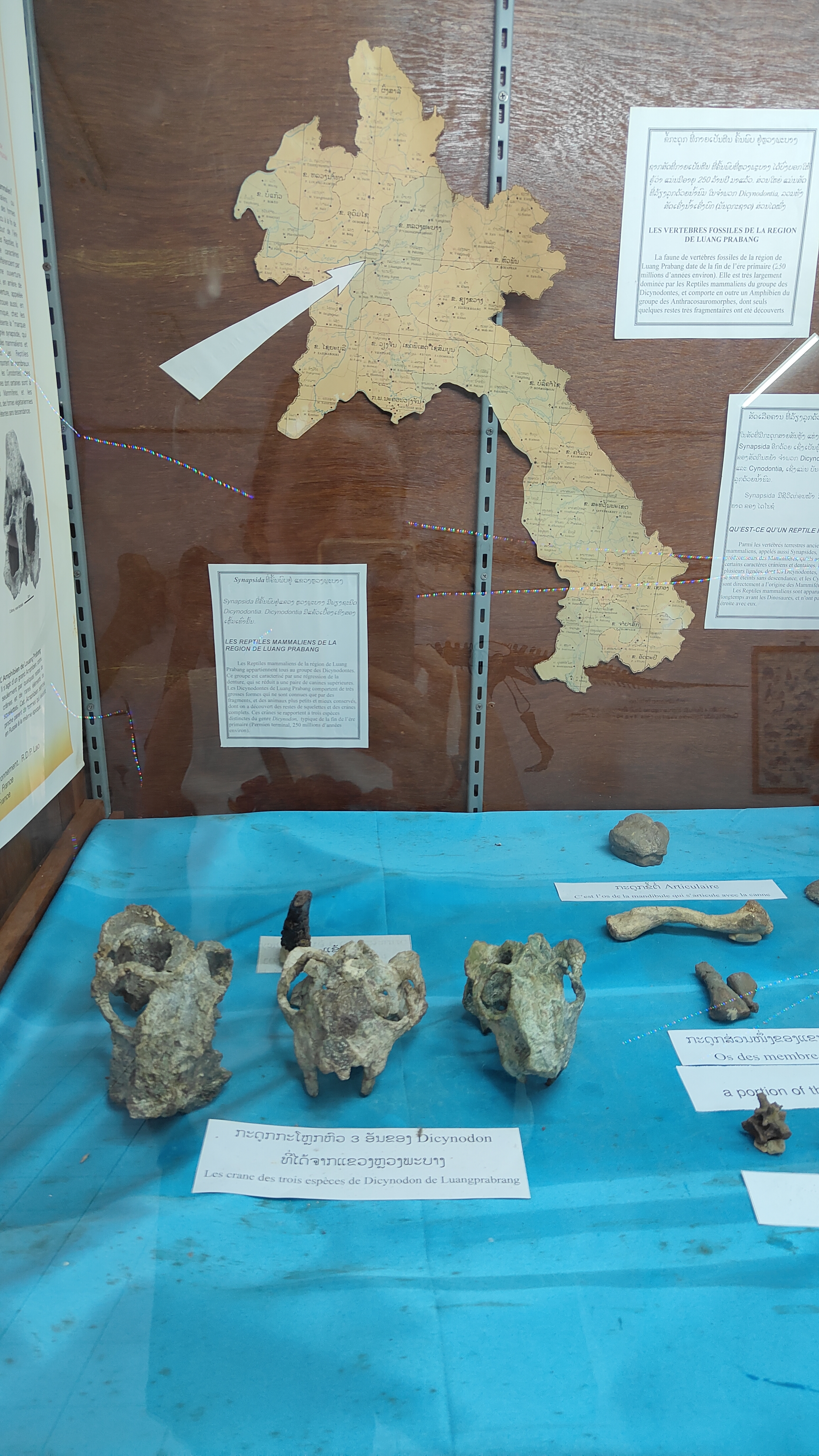 Savanaketh - musée dinosaure