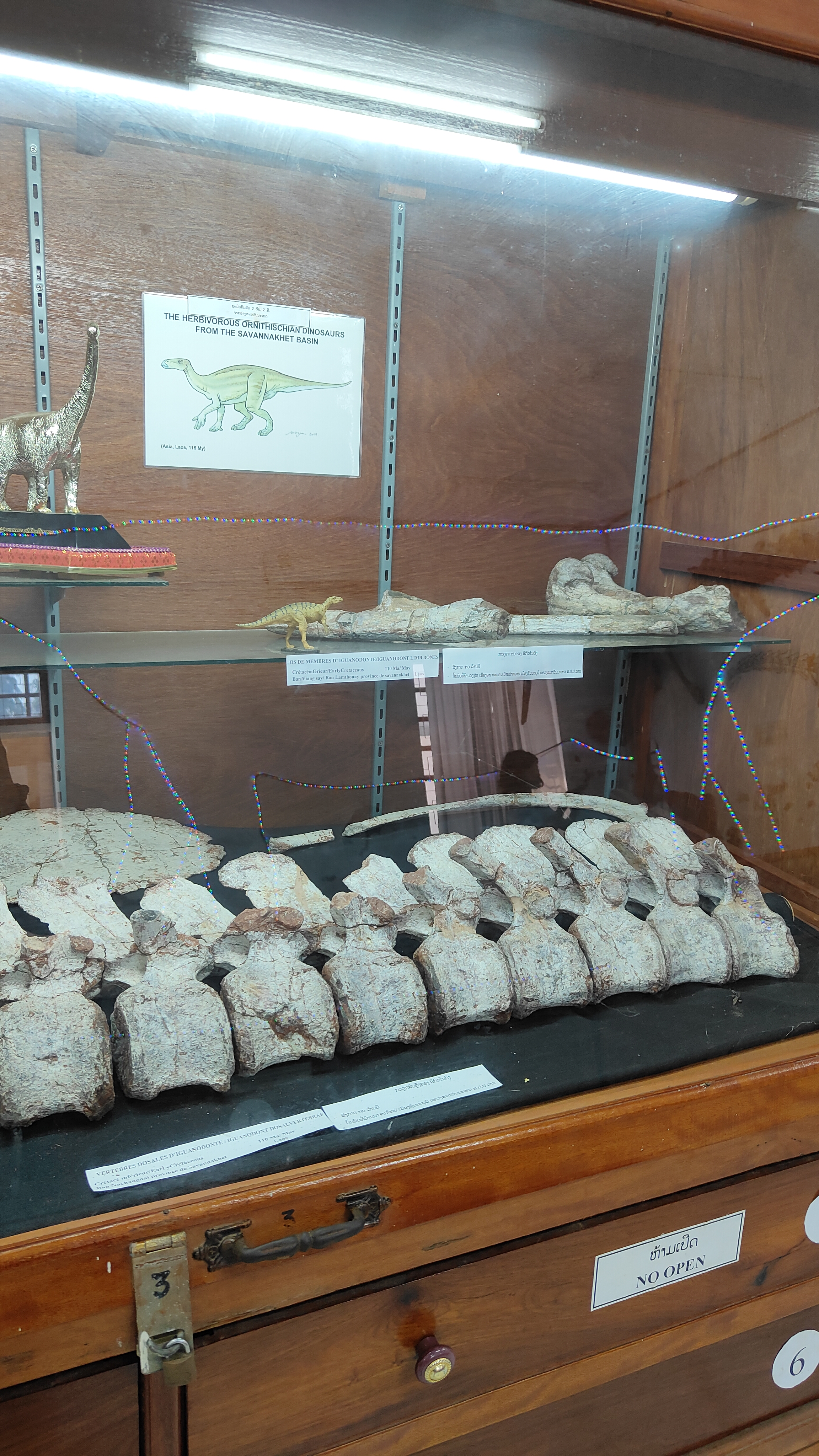 Savanaketh - musée dinosaure
