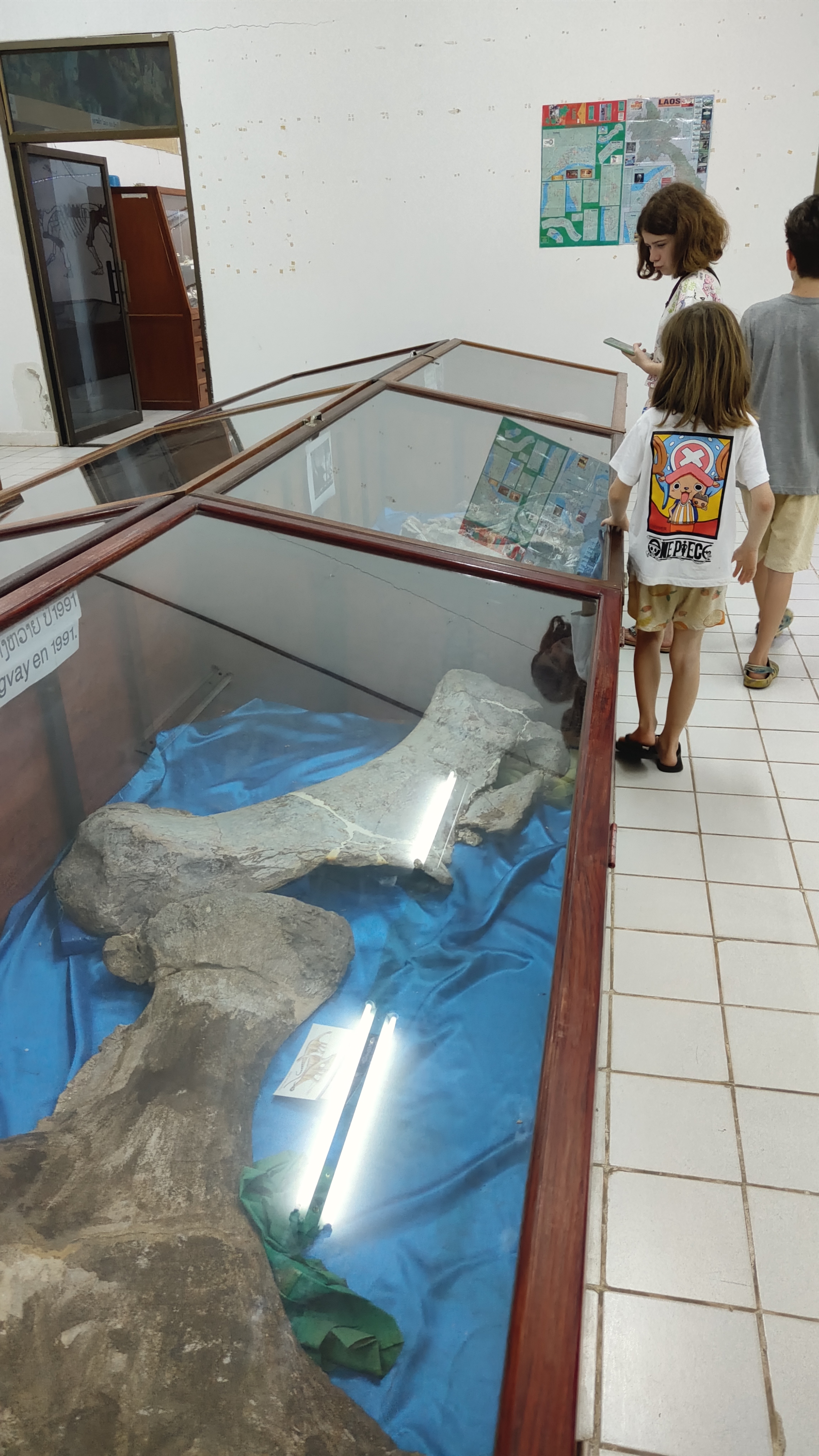 Savanaketh - musée dinosaure