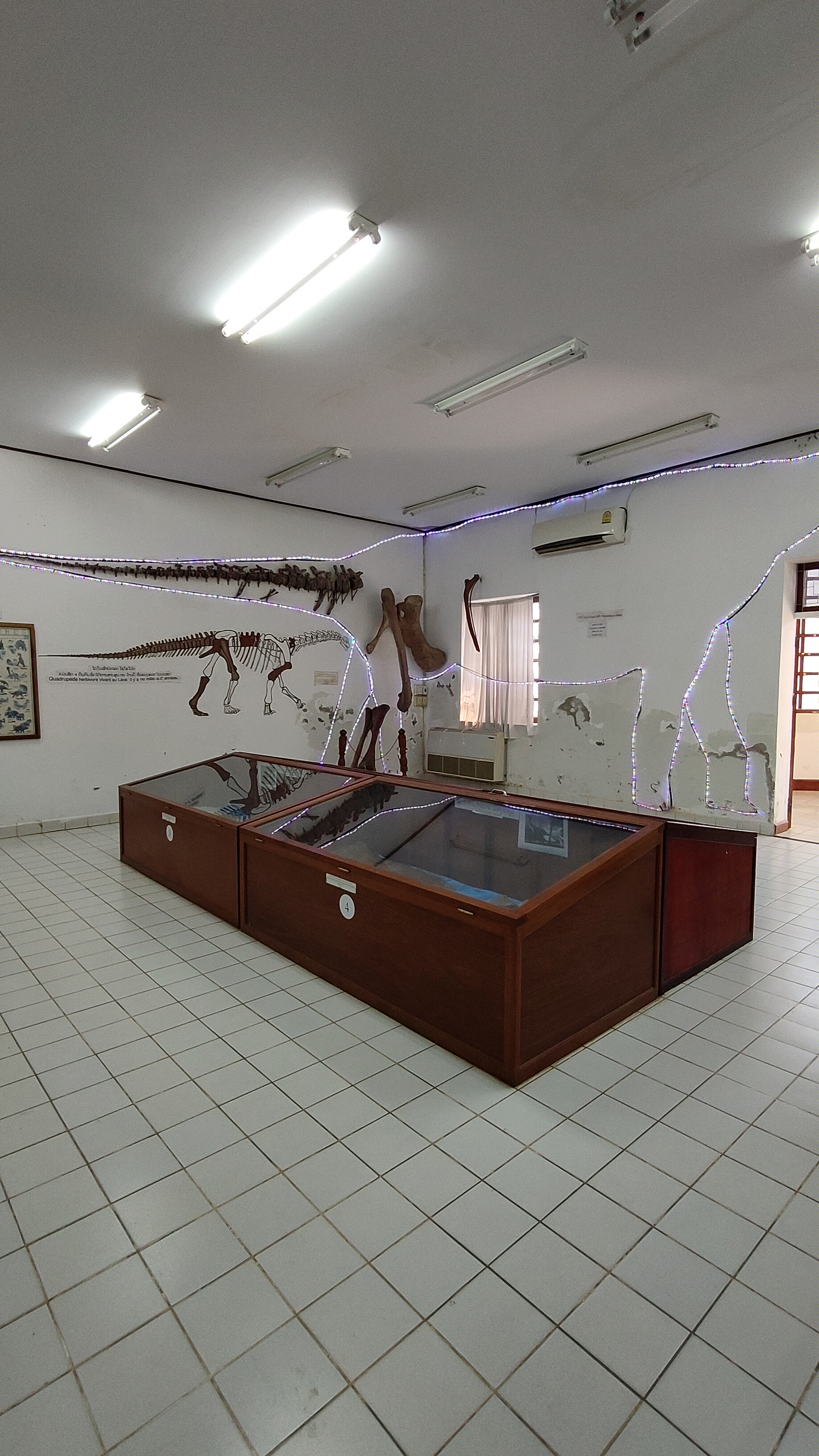 Savanaketh - musée dinosaure