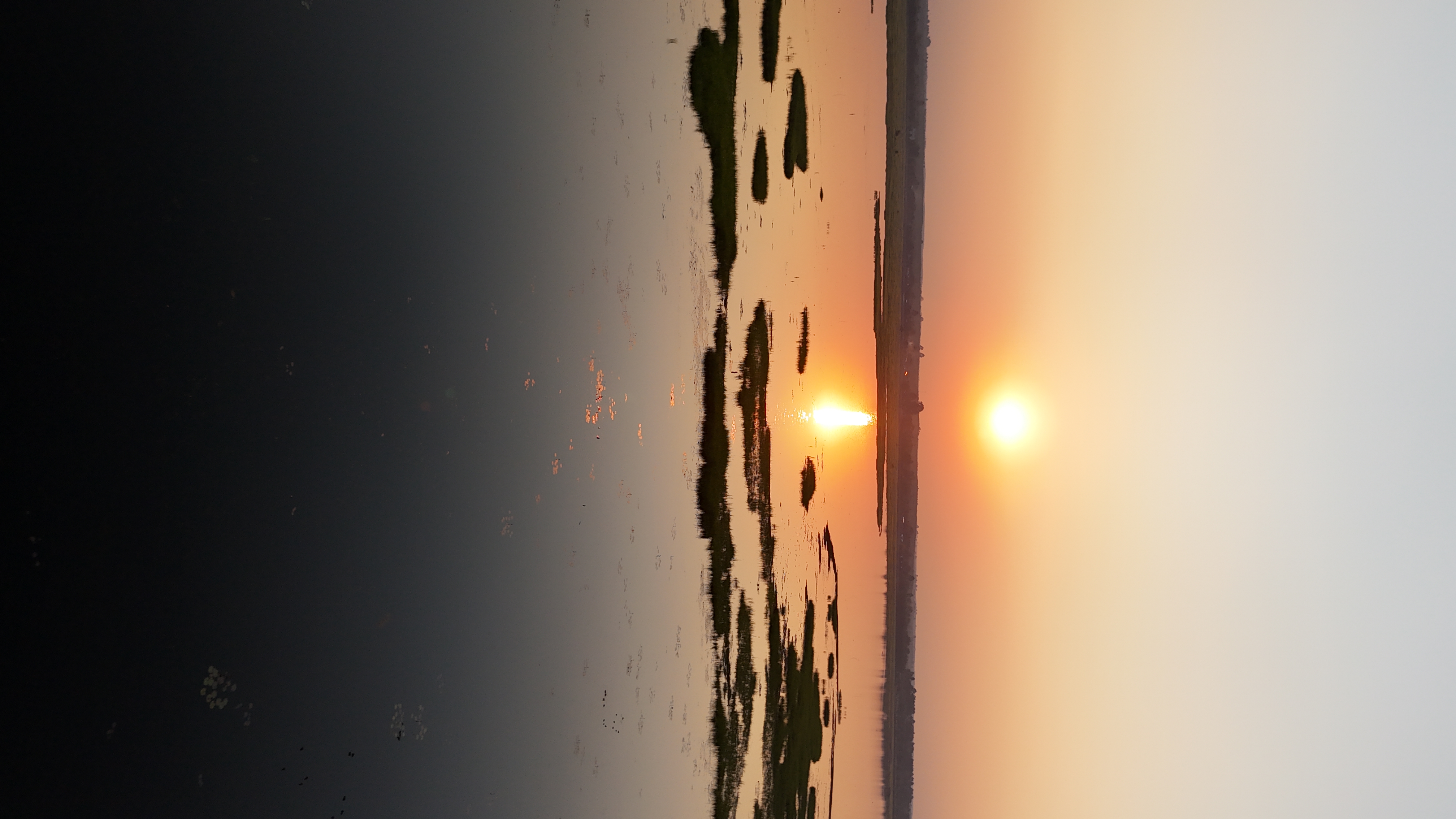 lac