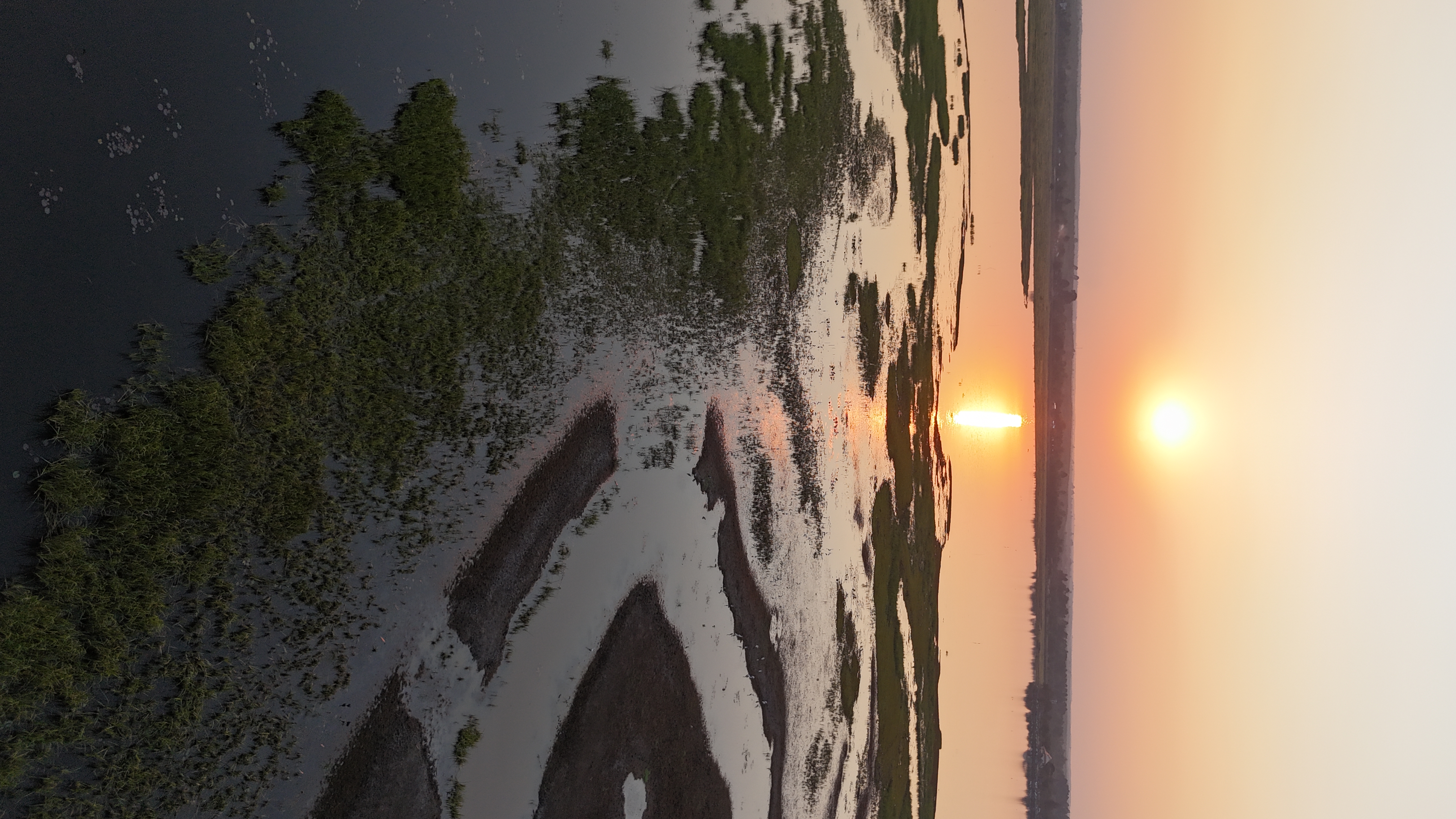 lac