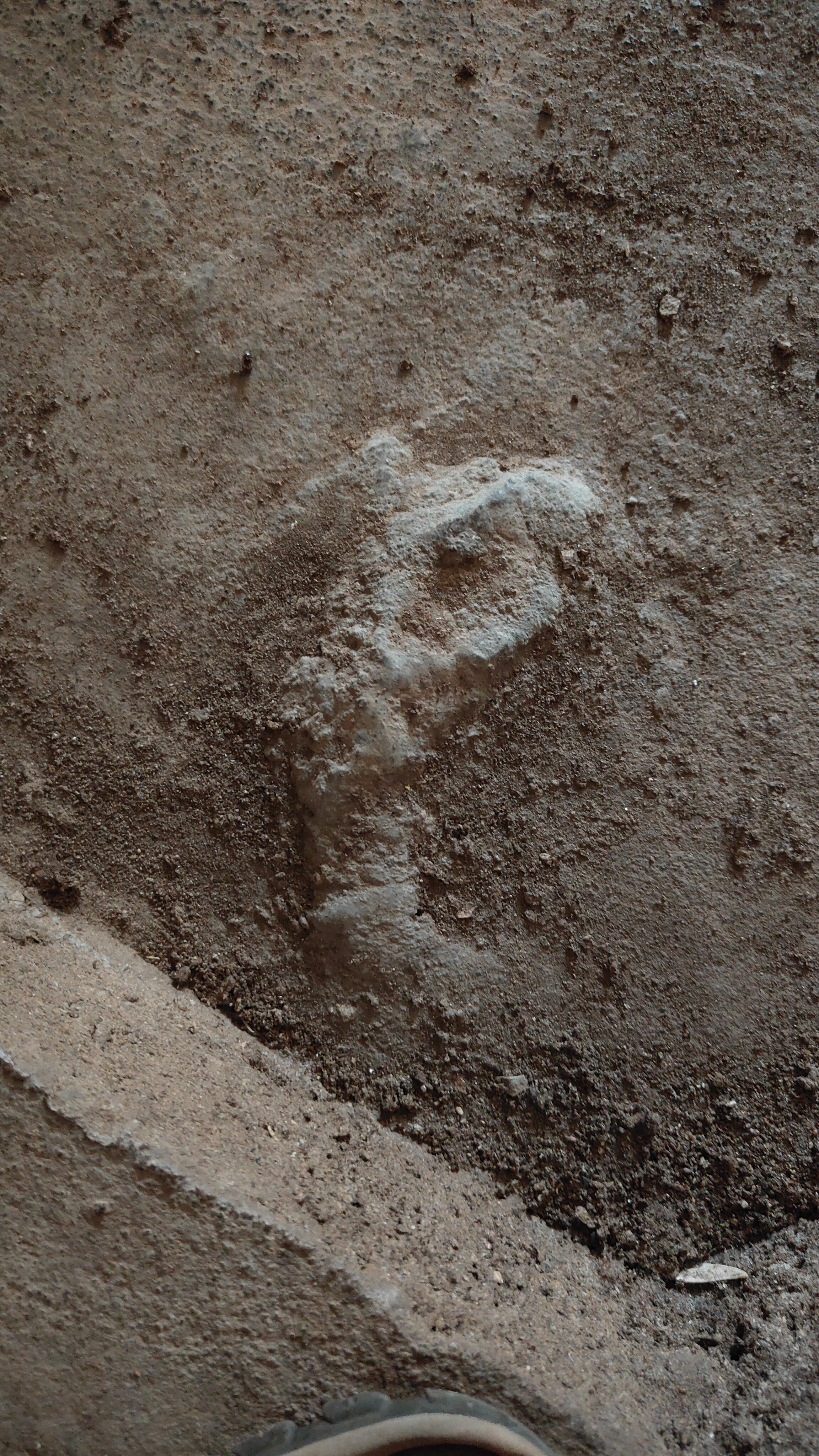 boucle de Thakekh - Elephant Cave