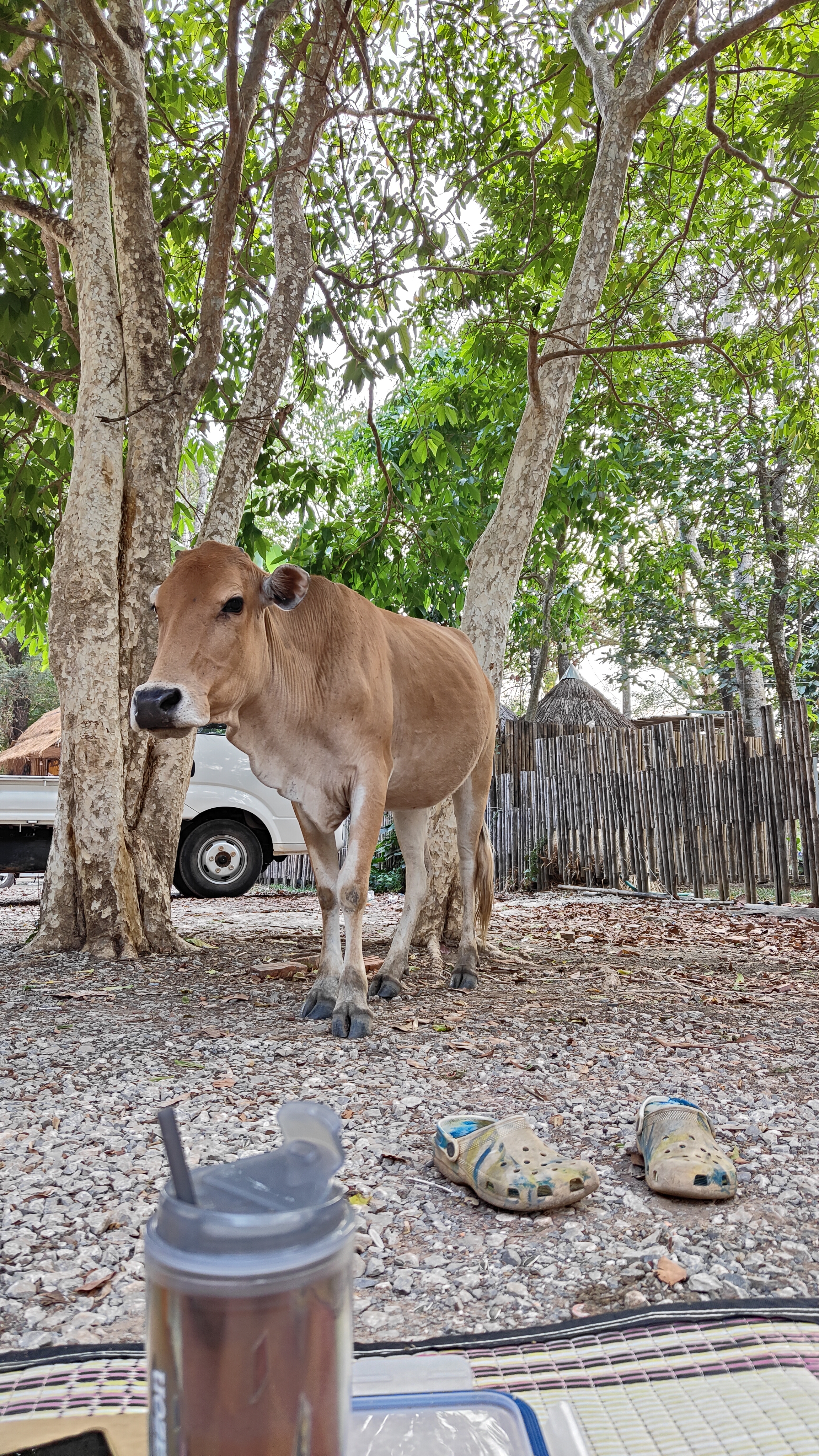 boucle de Thakekh - Thafalang