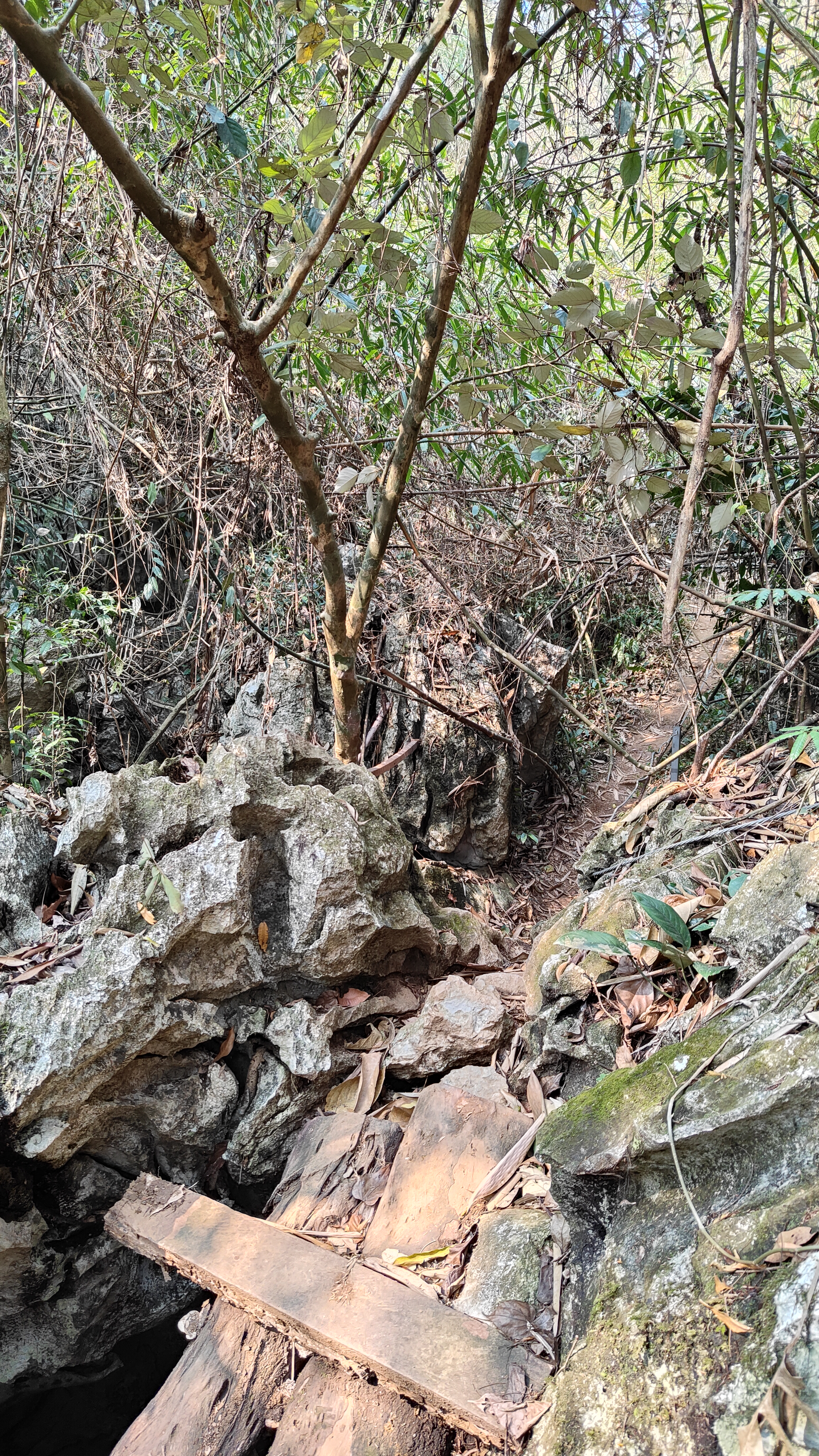 boucle de Thakekh - Dragon Cave