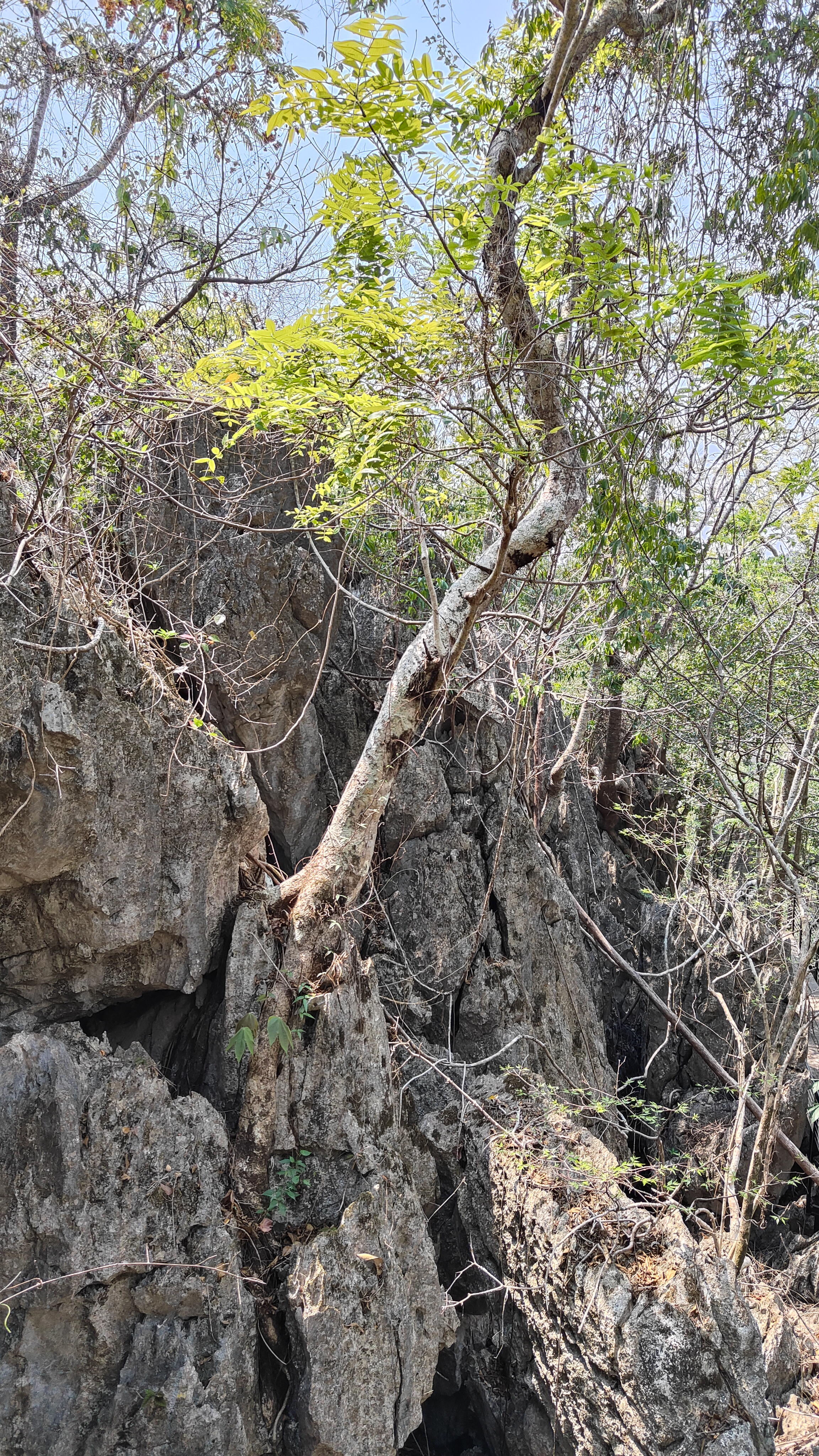 boucle de Thakekh - The rock viewpoint