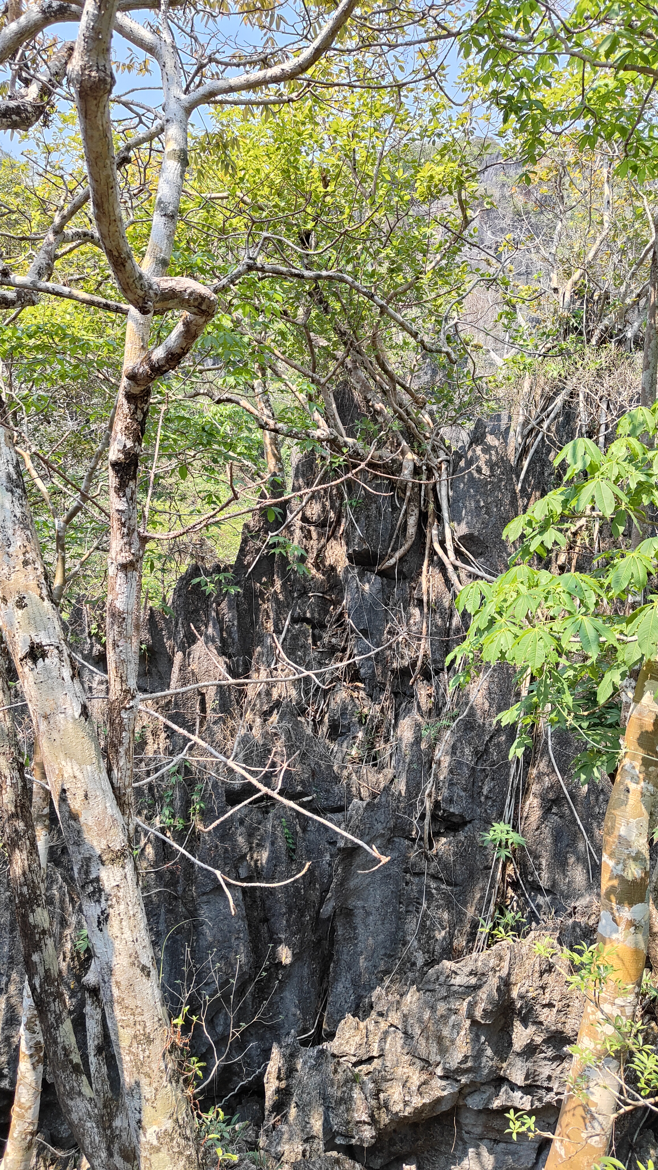 boucle de Thakekh - The rock viewpoint