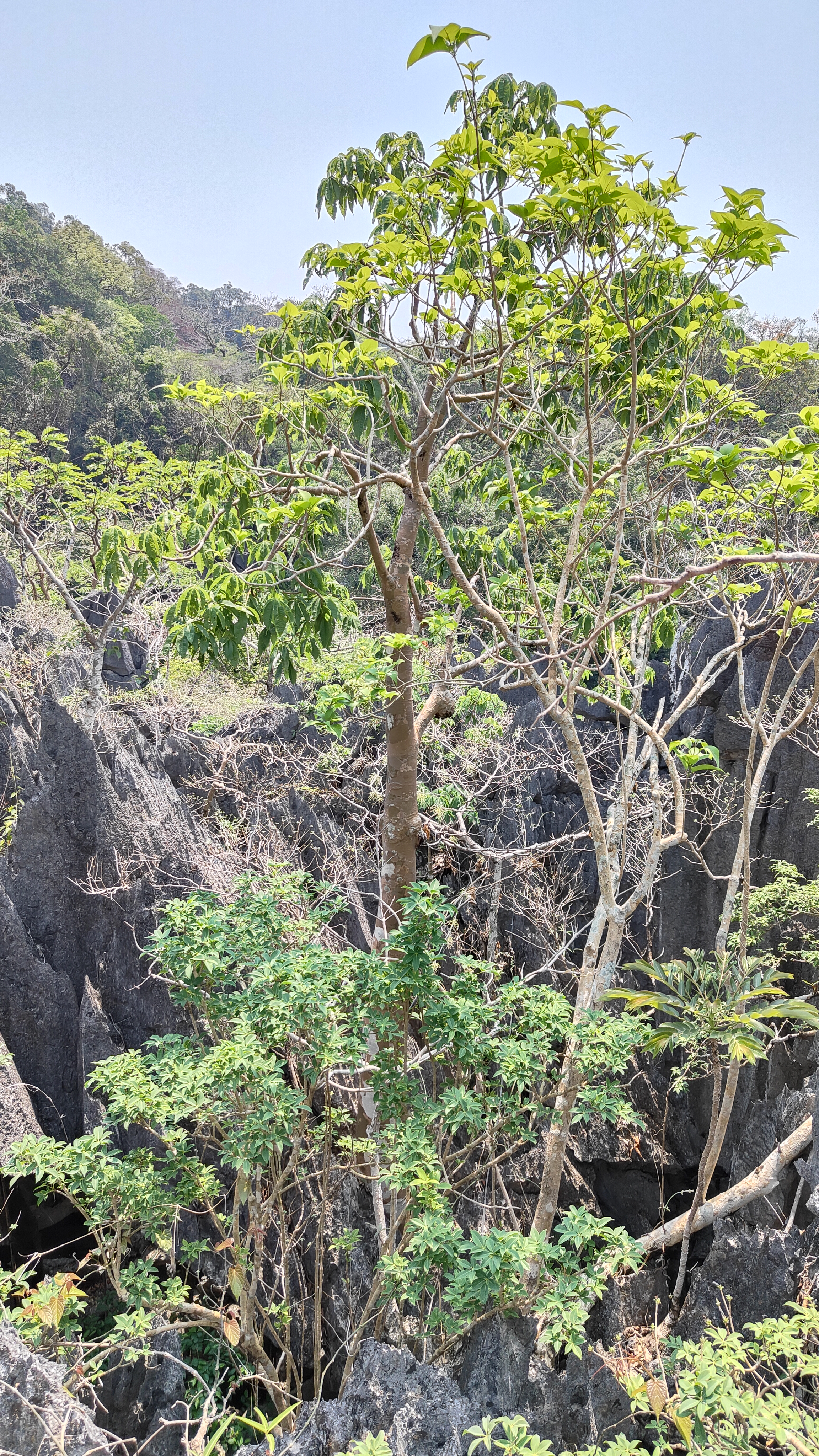 boucle de Thakekh - The rock viewpoint