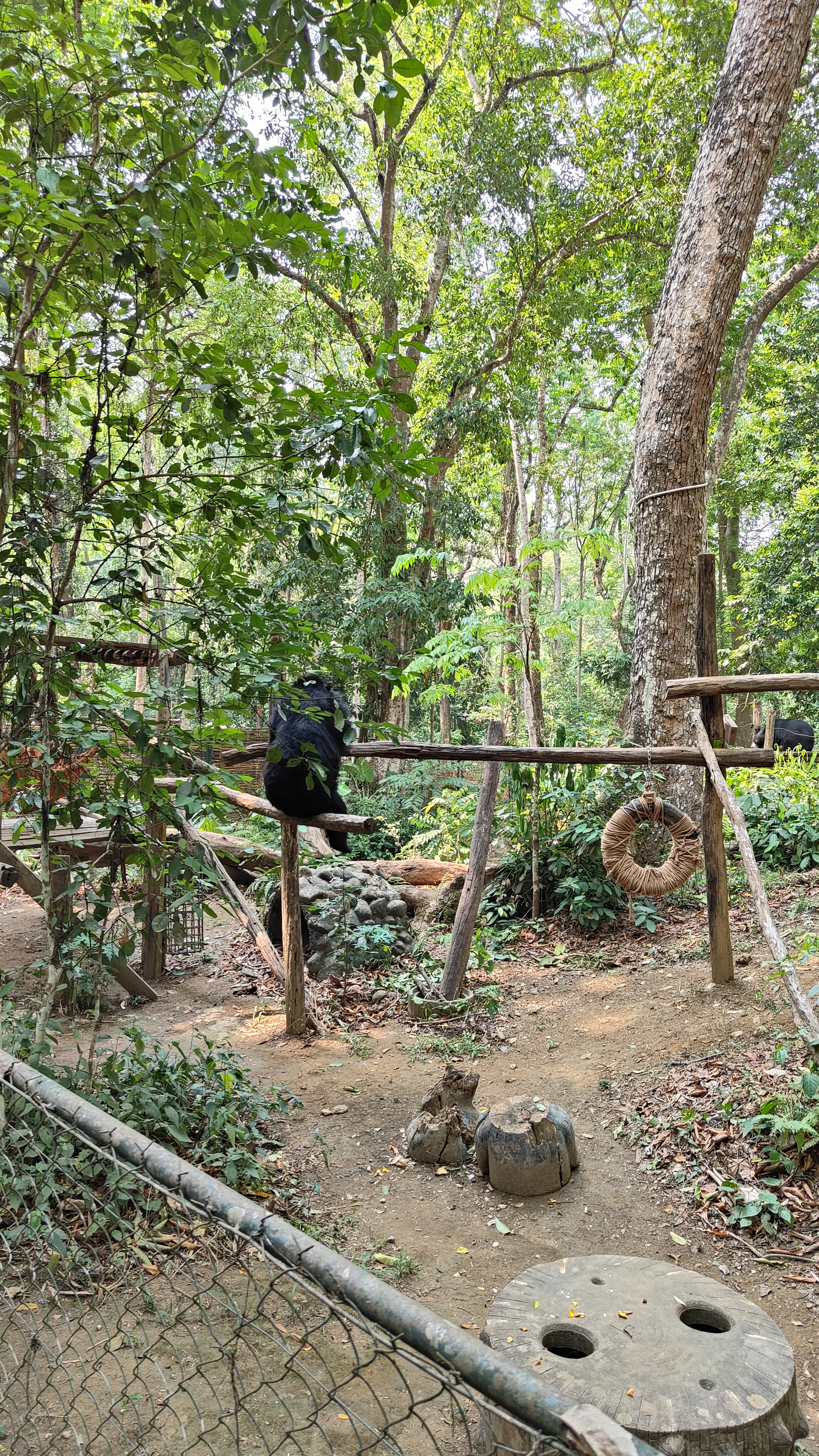 Ours lao