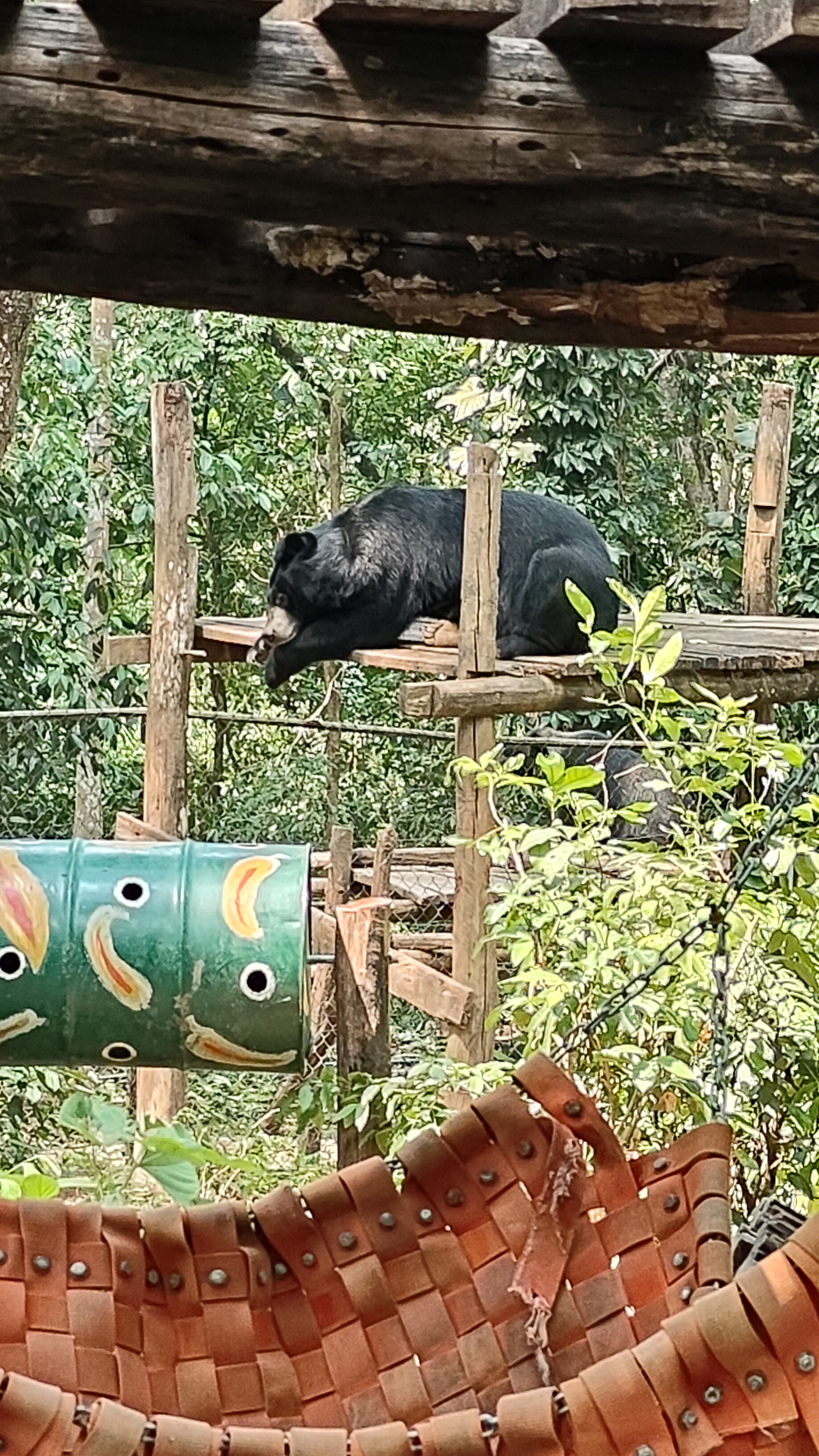 Ours lao