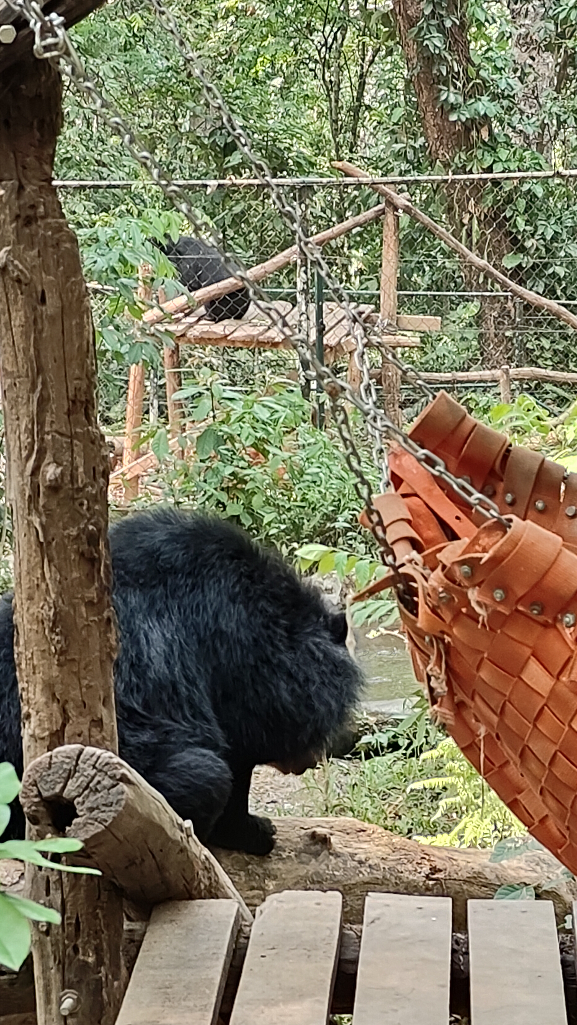 Ours lao