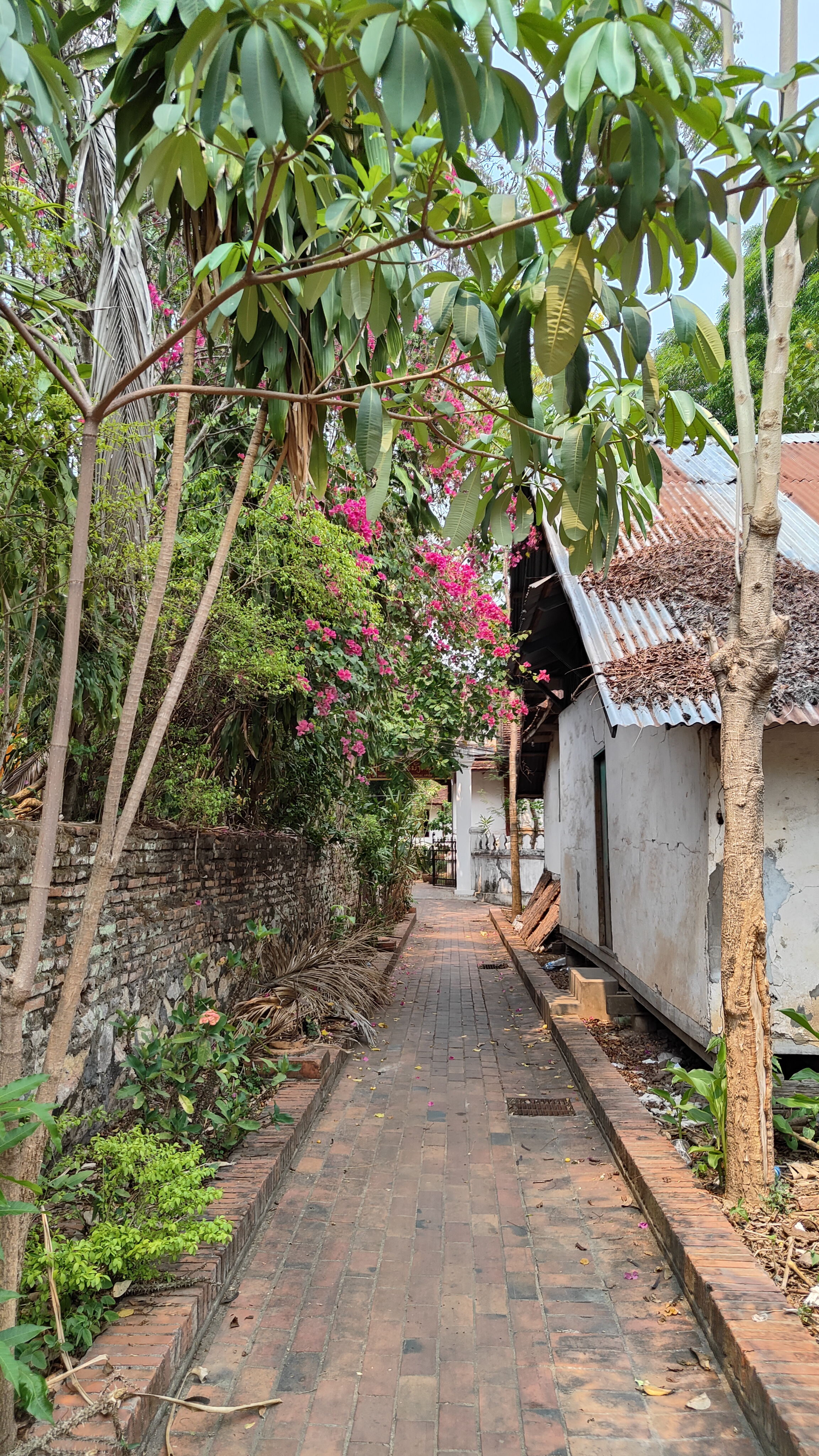 Luang Prabang