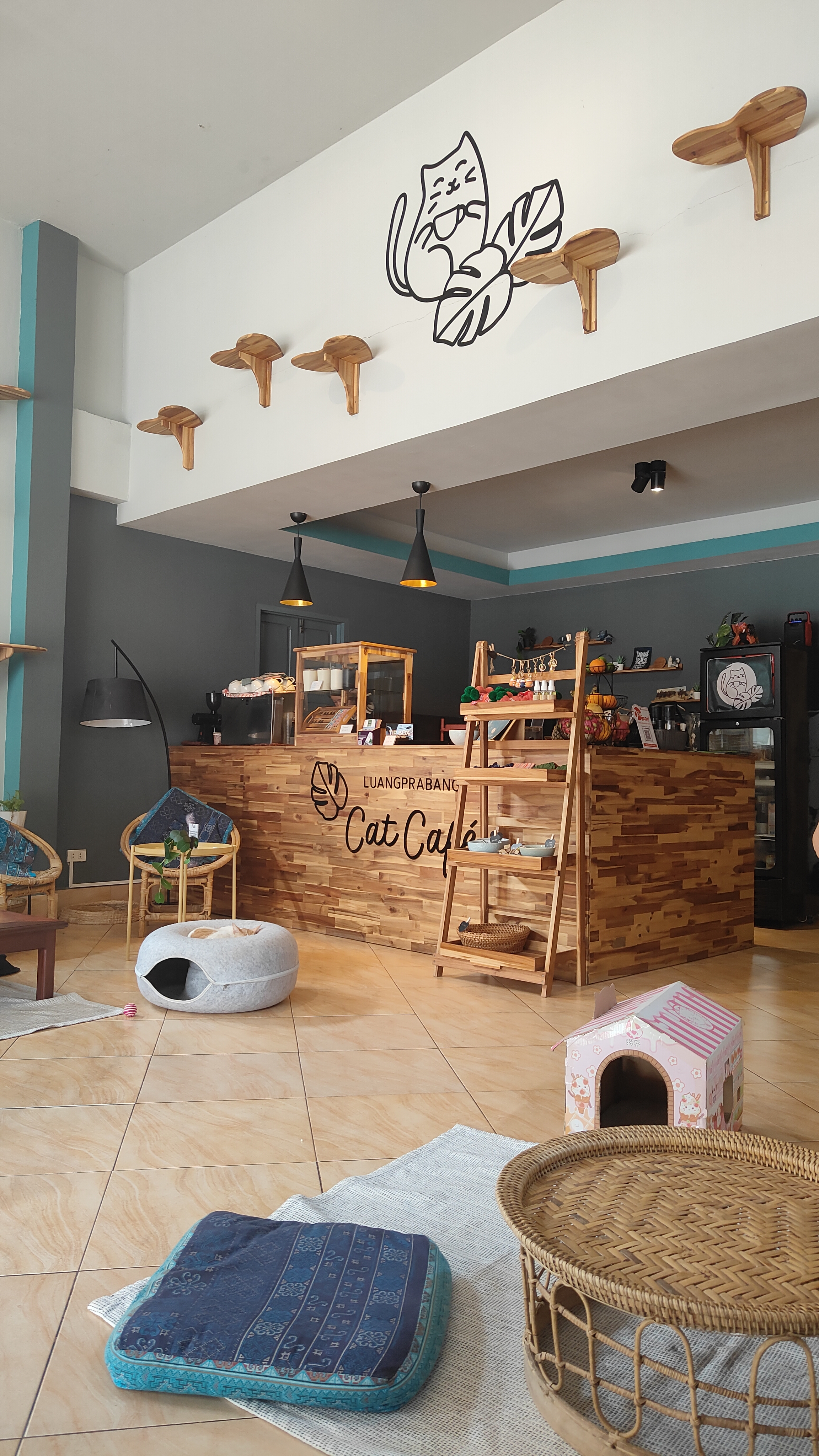 Luang Prabang.- cat café