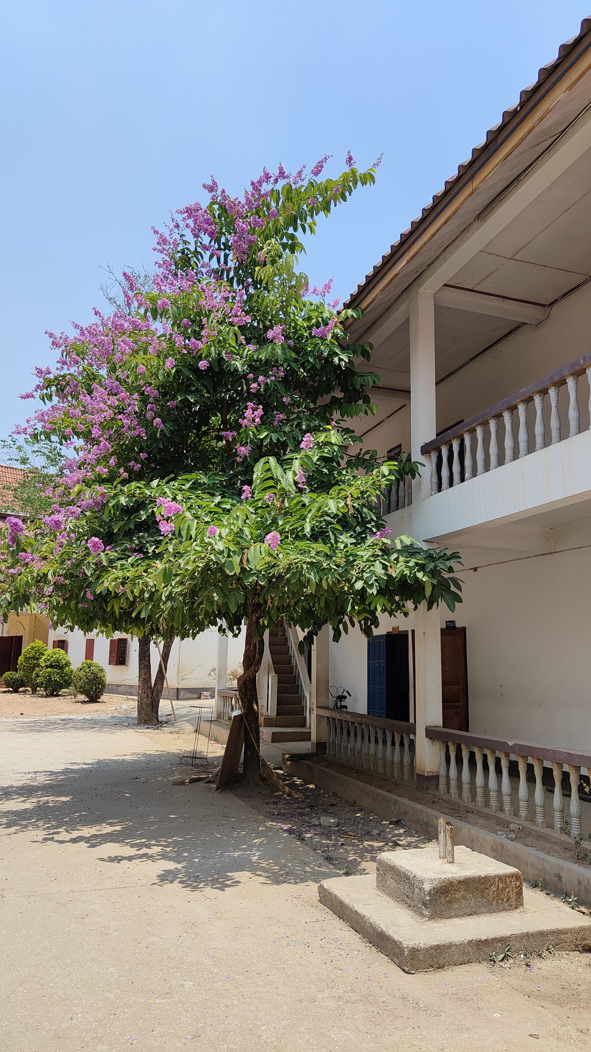 Luang Namtha - villages